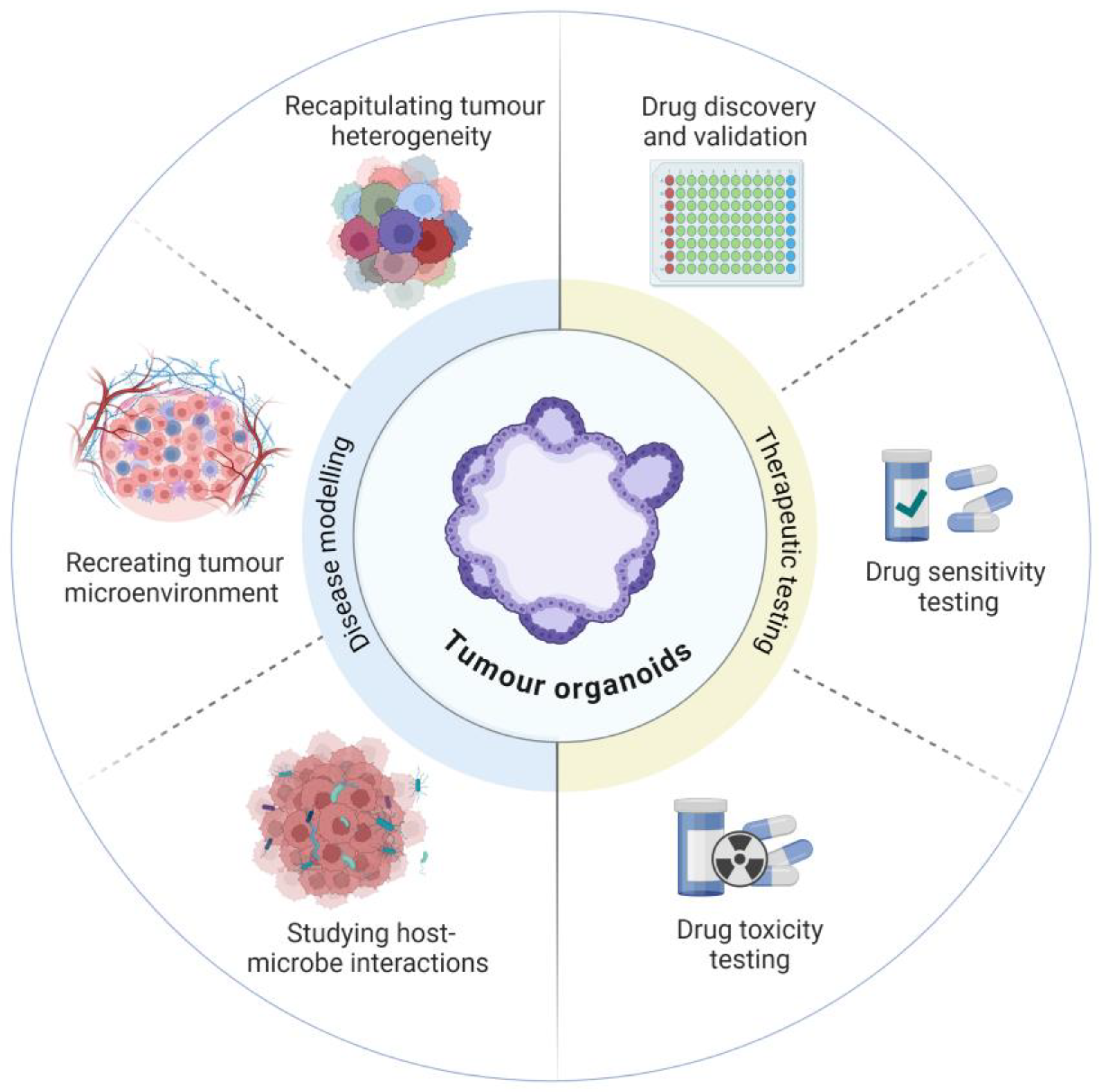 Preprints 119004 g001