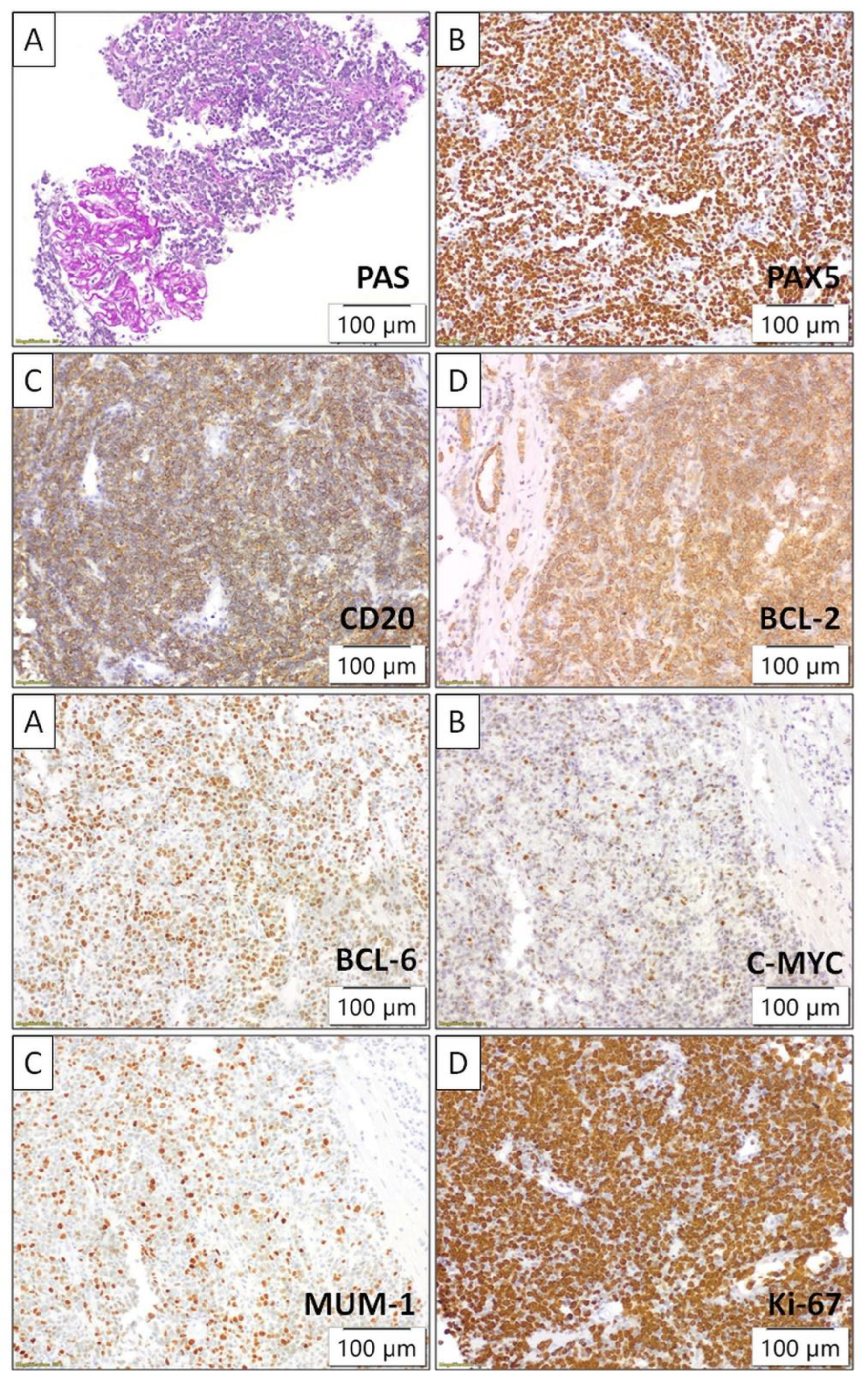 Preprints 119382 g004