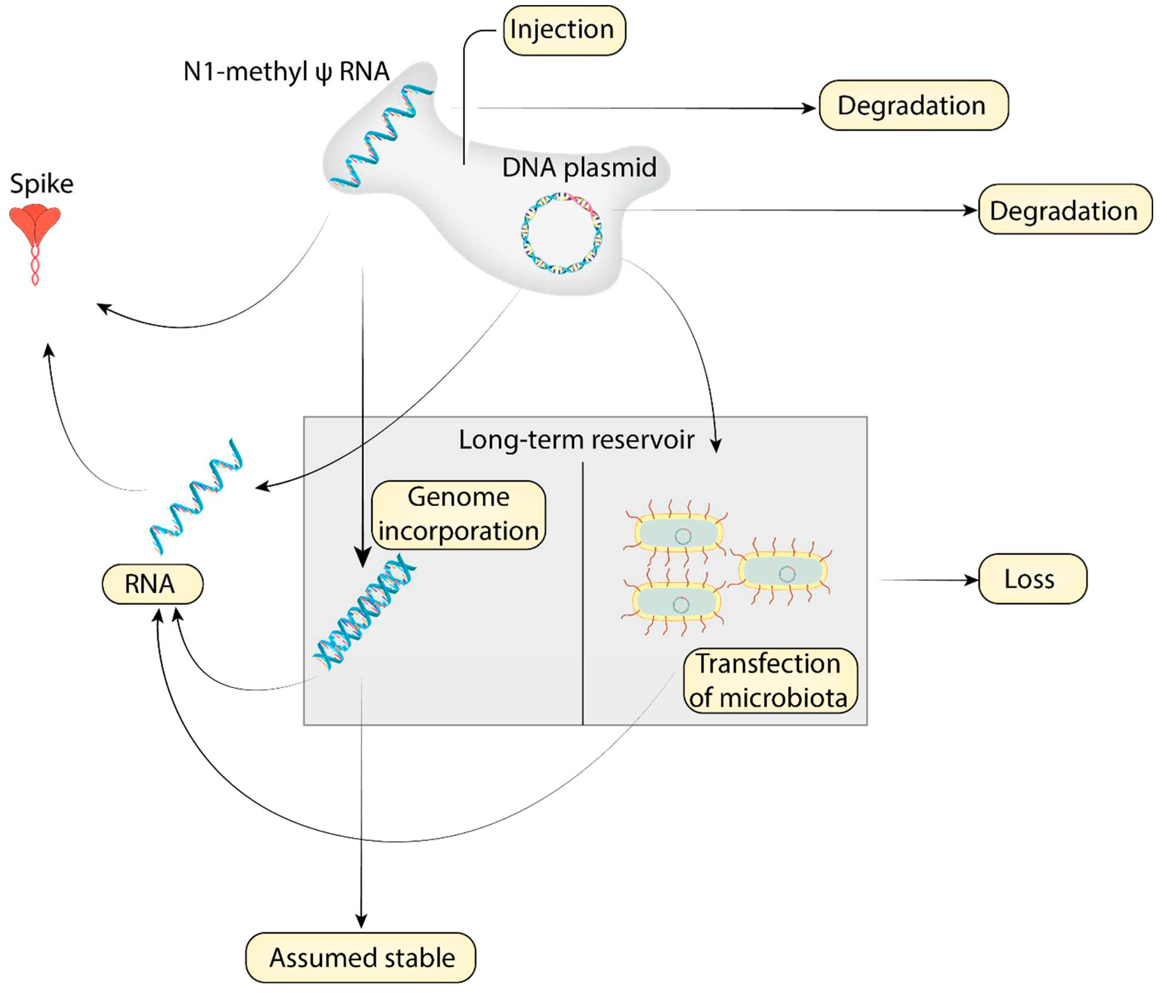 Preprints 83326 g001