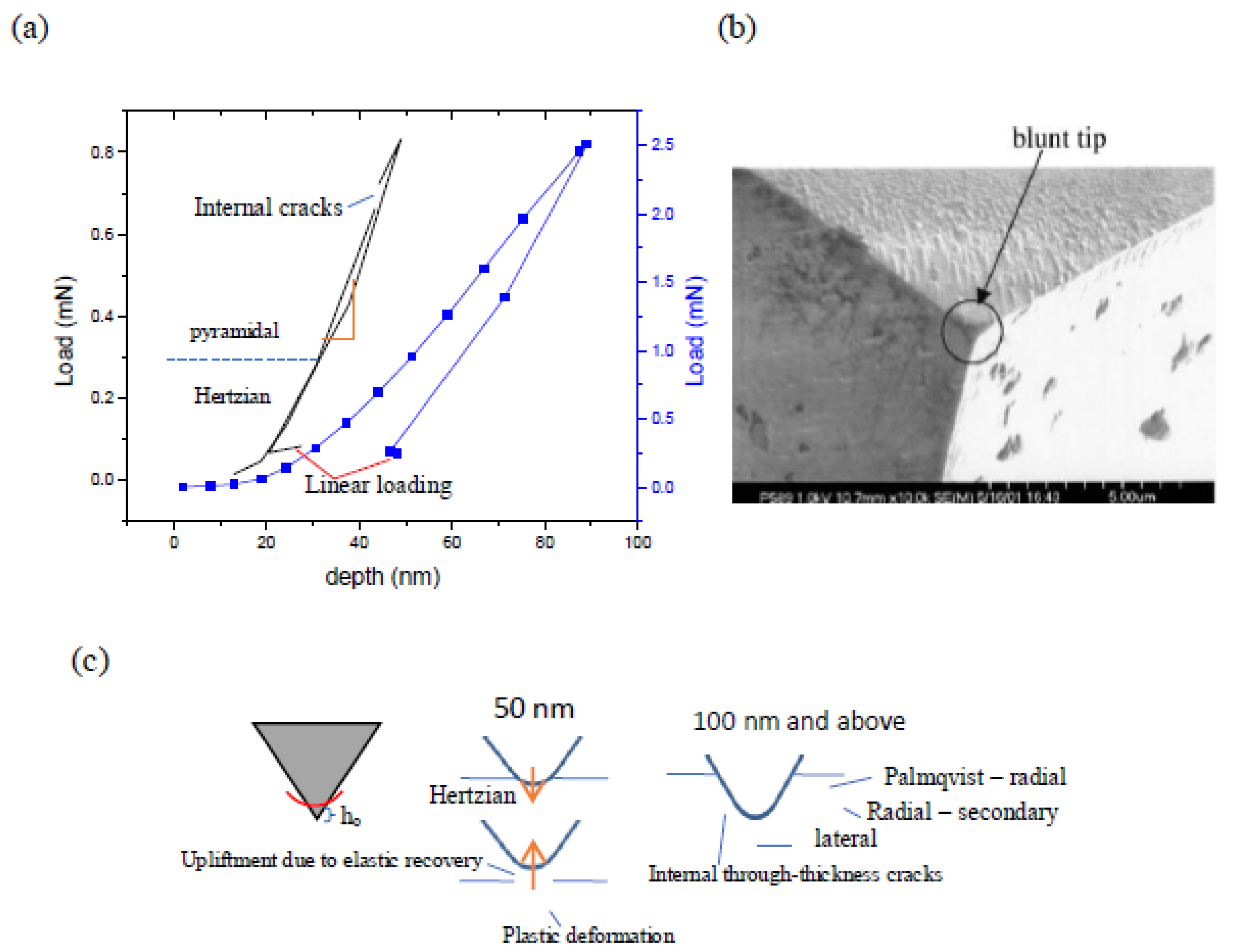 Preprints 91367 g001