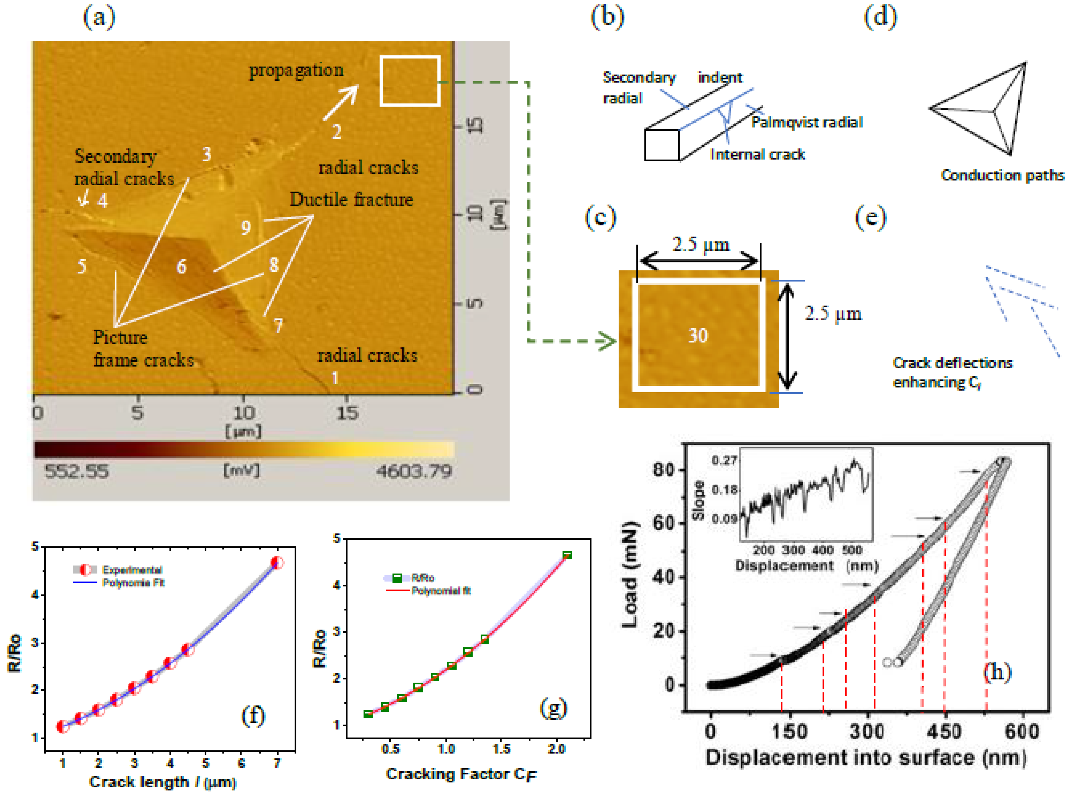 Preprints 91367 g002