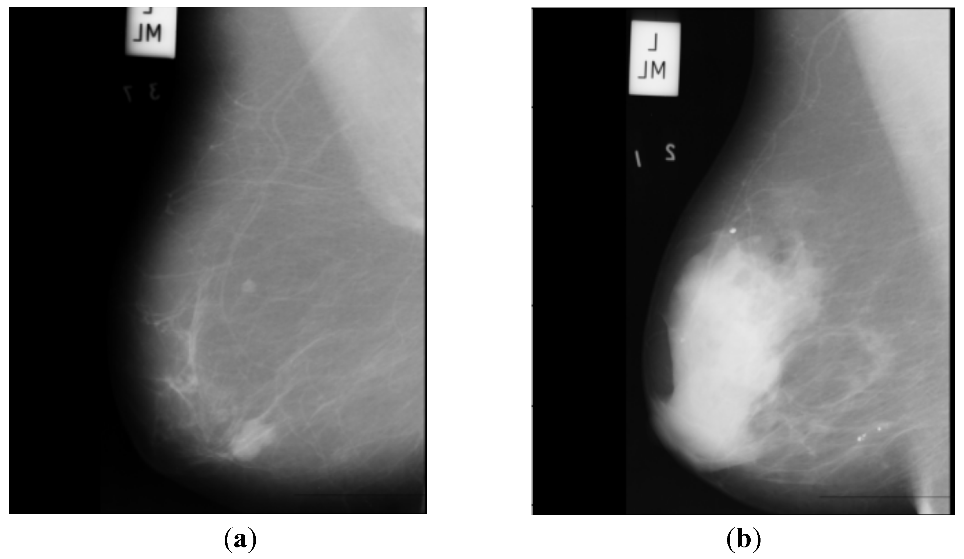 Preprints 75044 g002