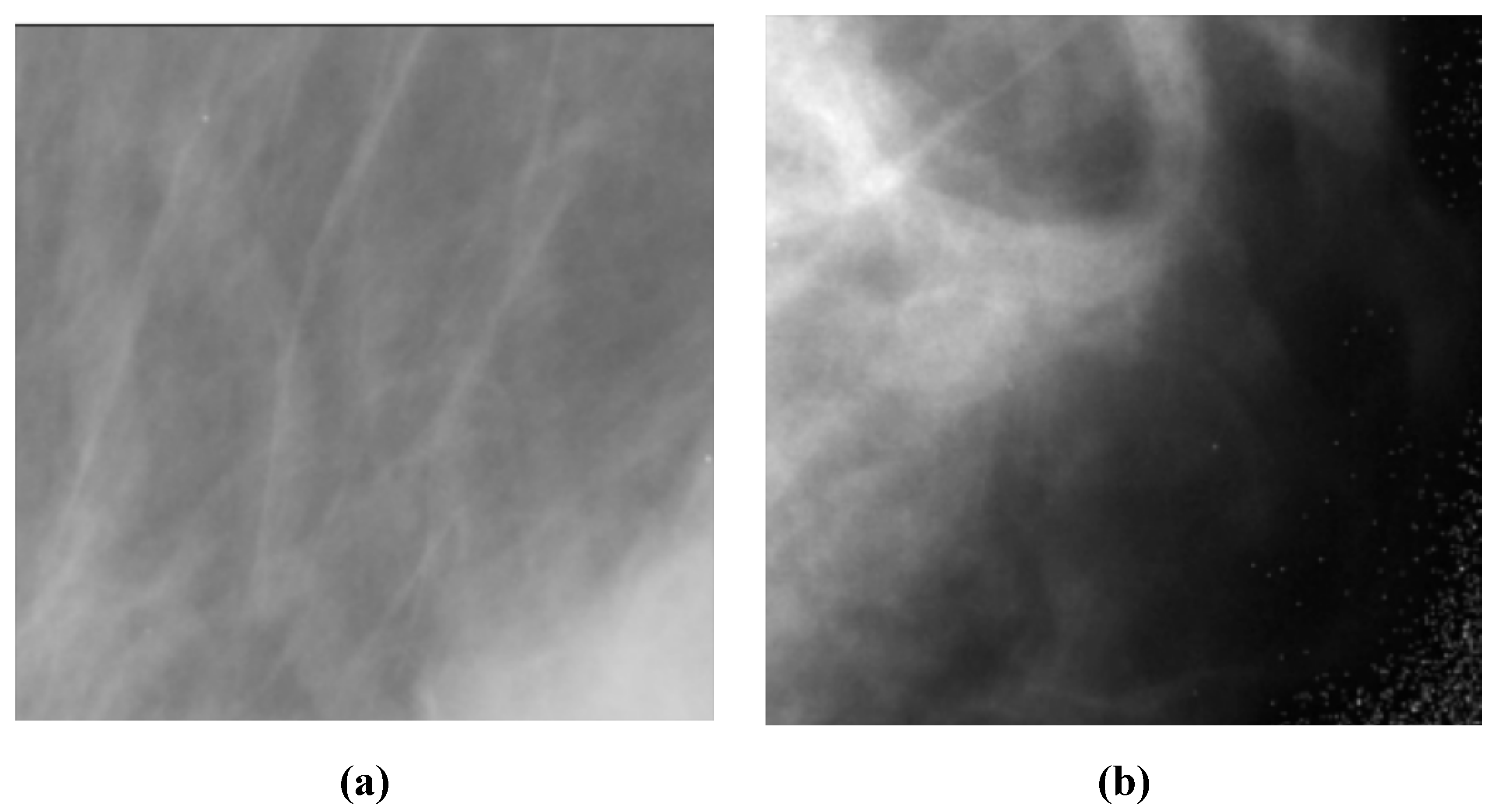 Preprints 75044 g003