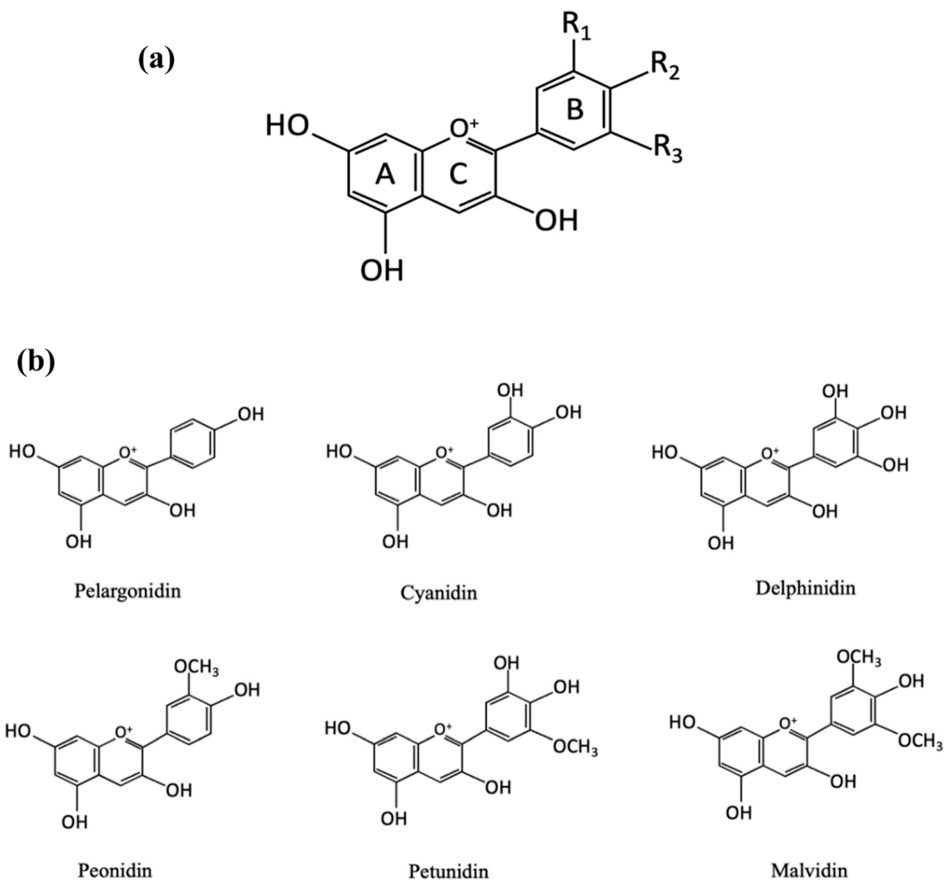 Preprints 92137 g001