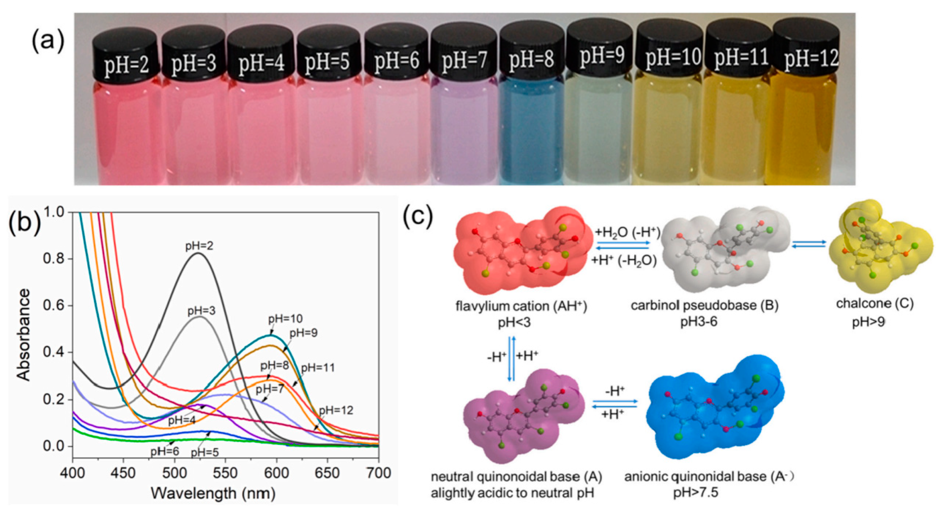 Preprints 92137 g002