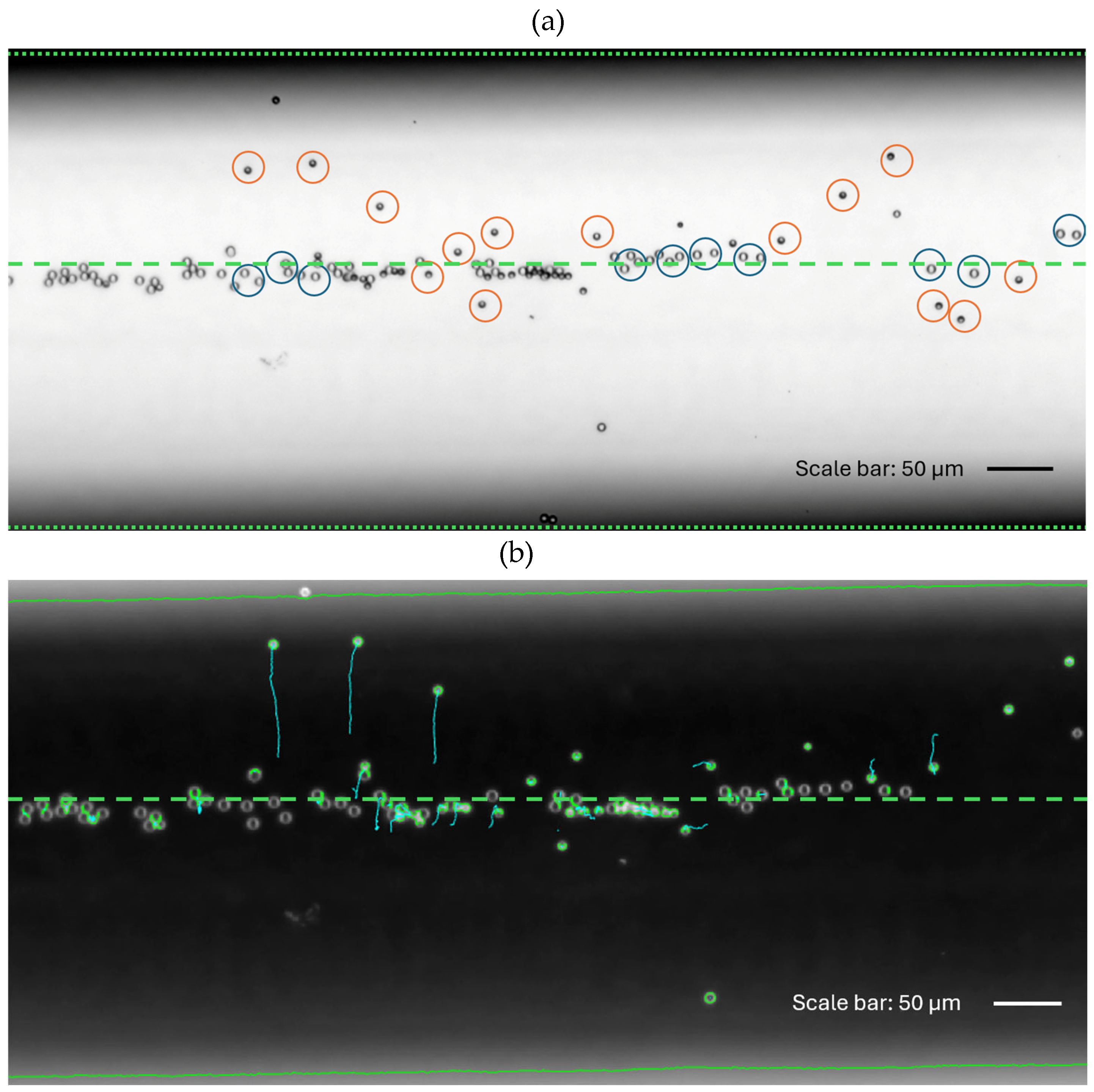 Preprints 99417 g004