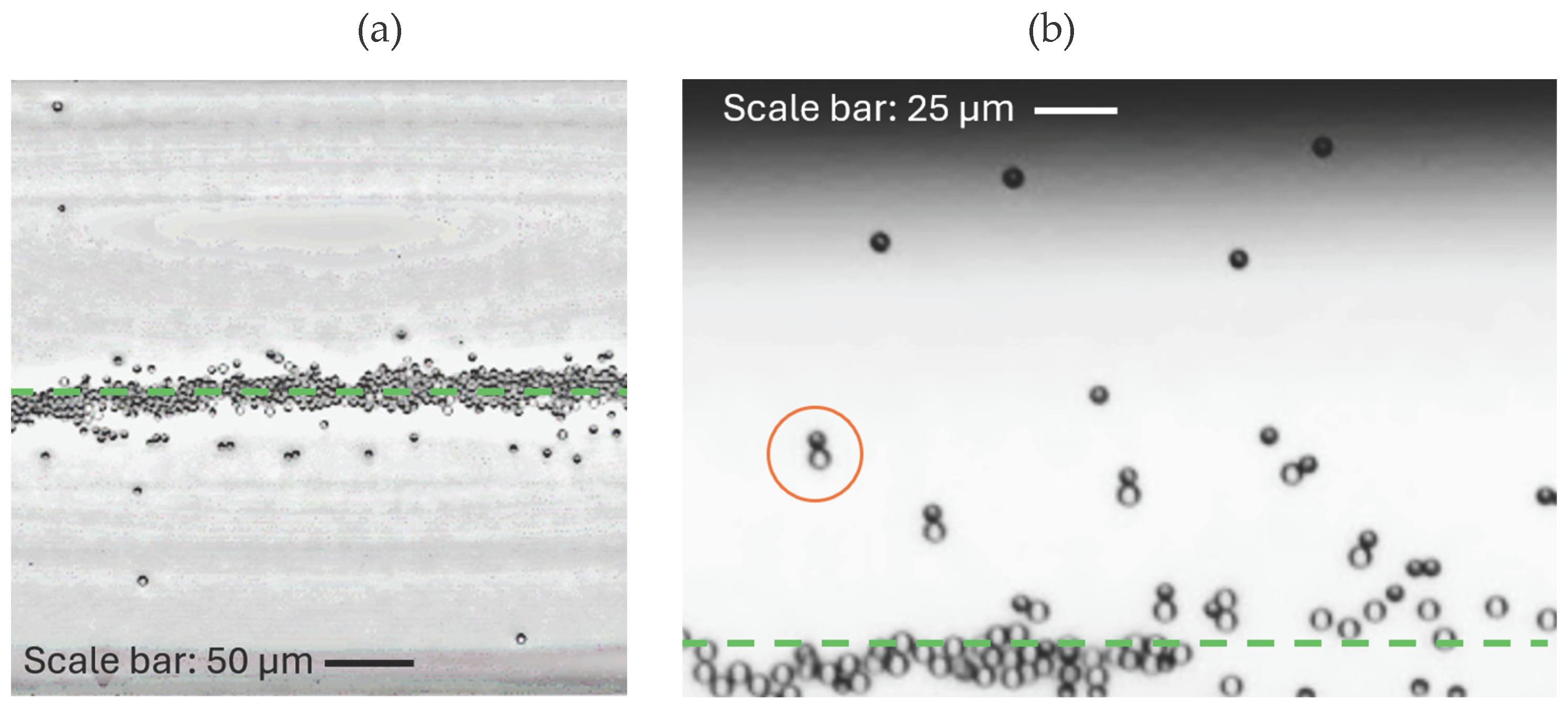 Preprints 99417 g006