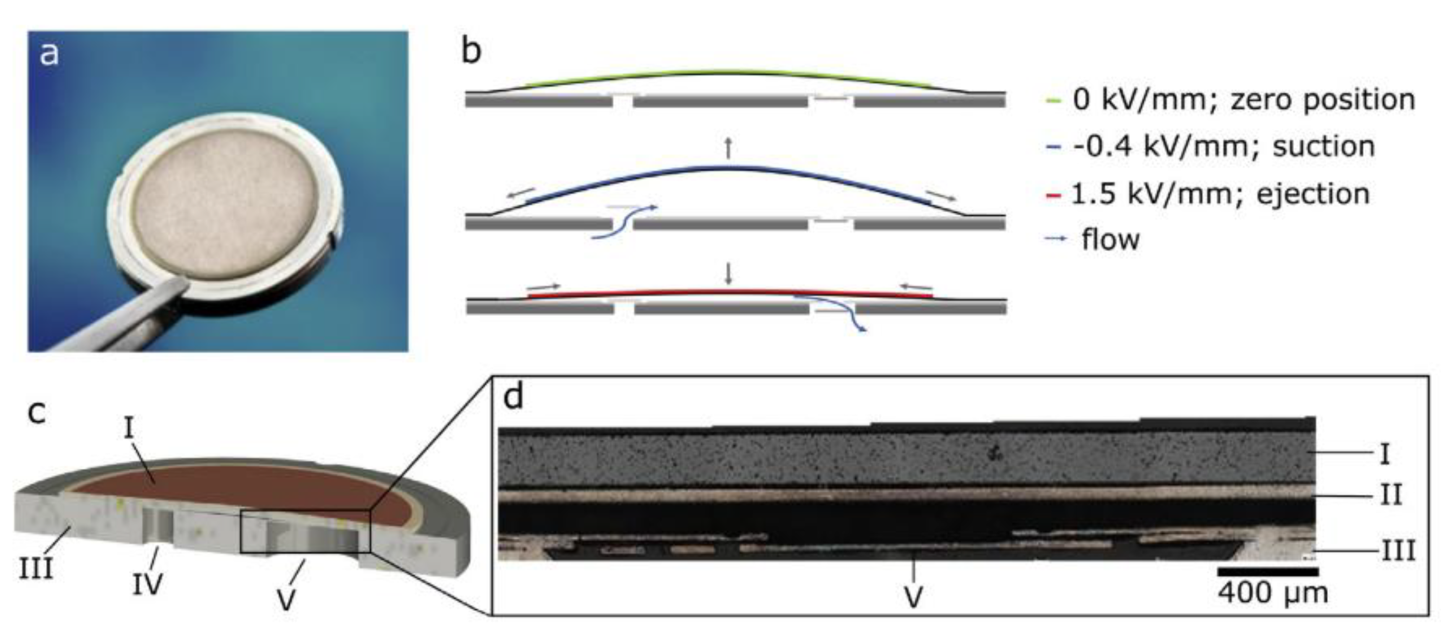 Preprints 120474 g001