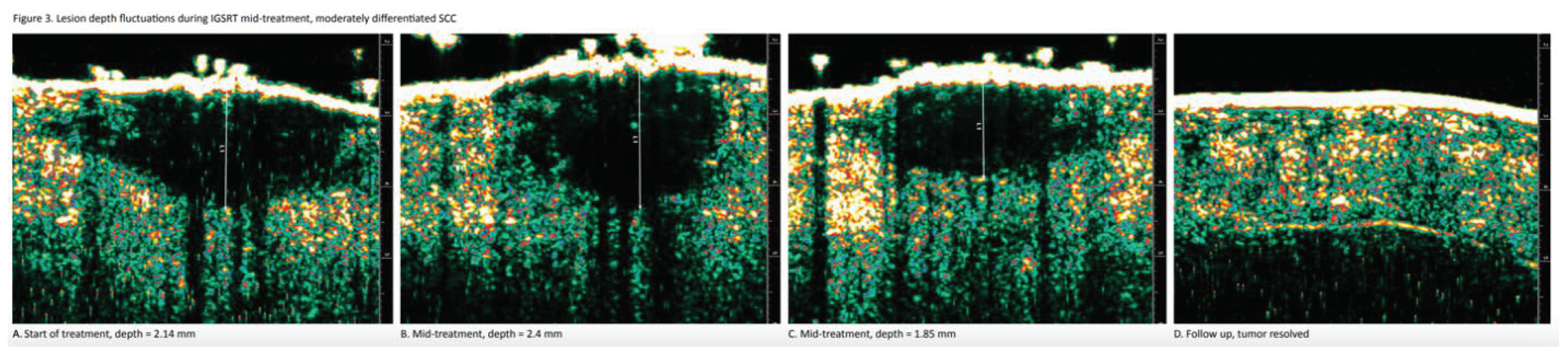 Preprints 102747 g003