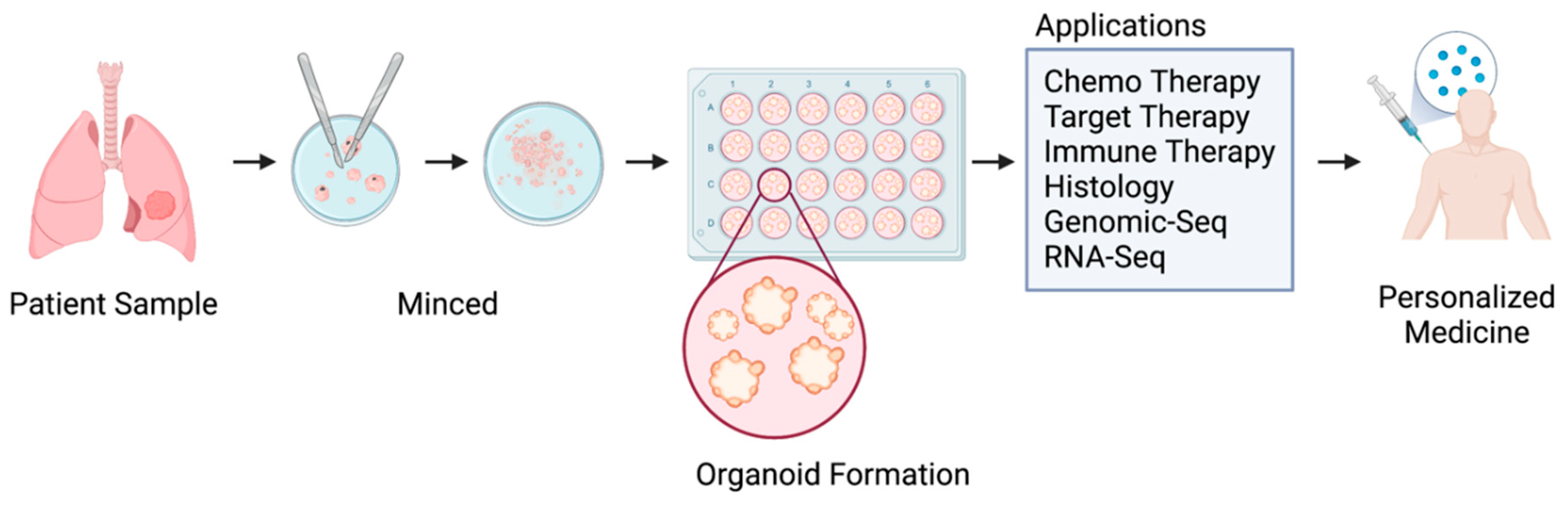 Preprints 76804 g001