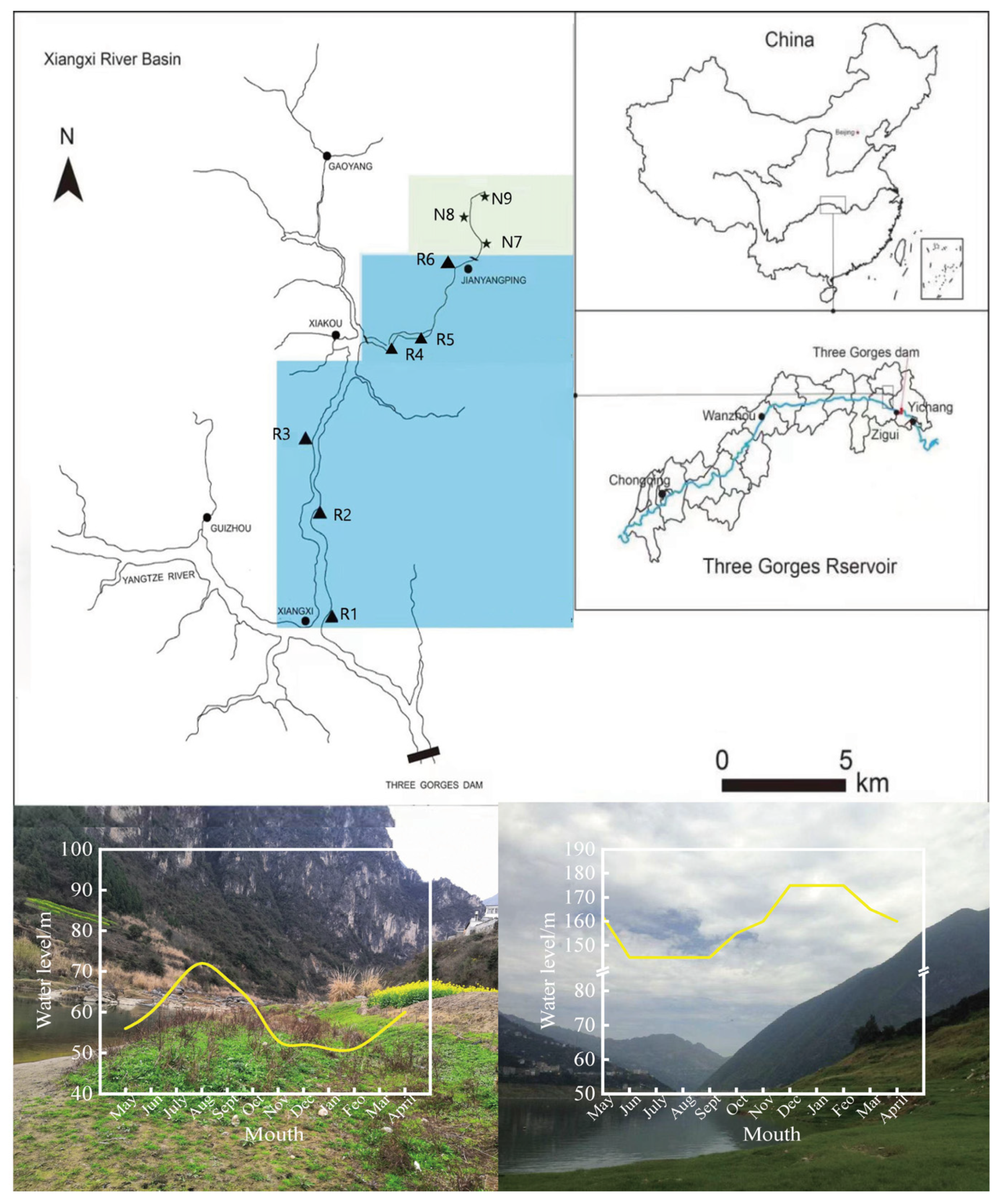 Preprints 110027 g001