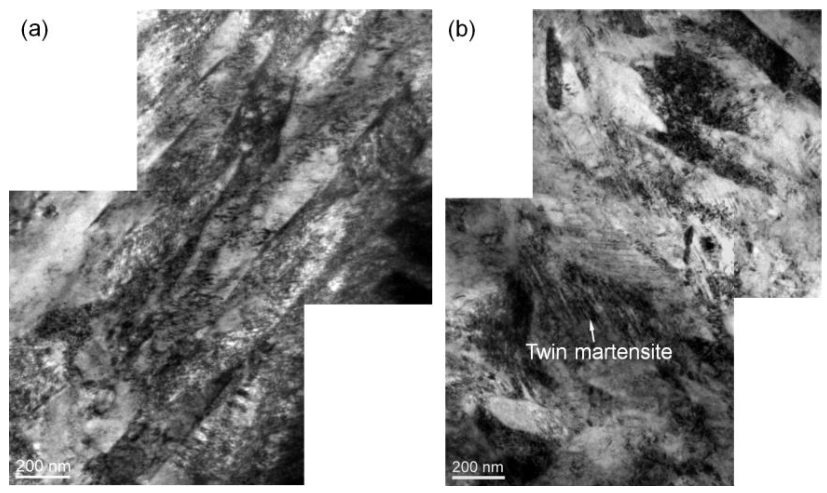 Preprints 73395 g003