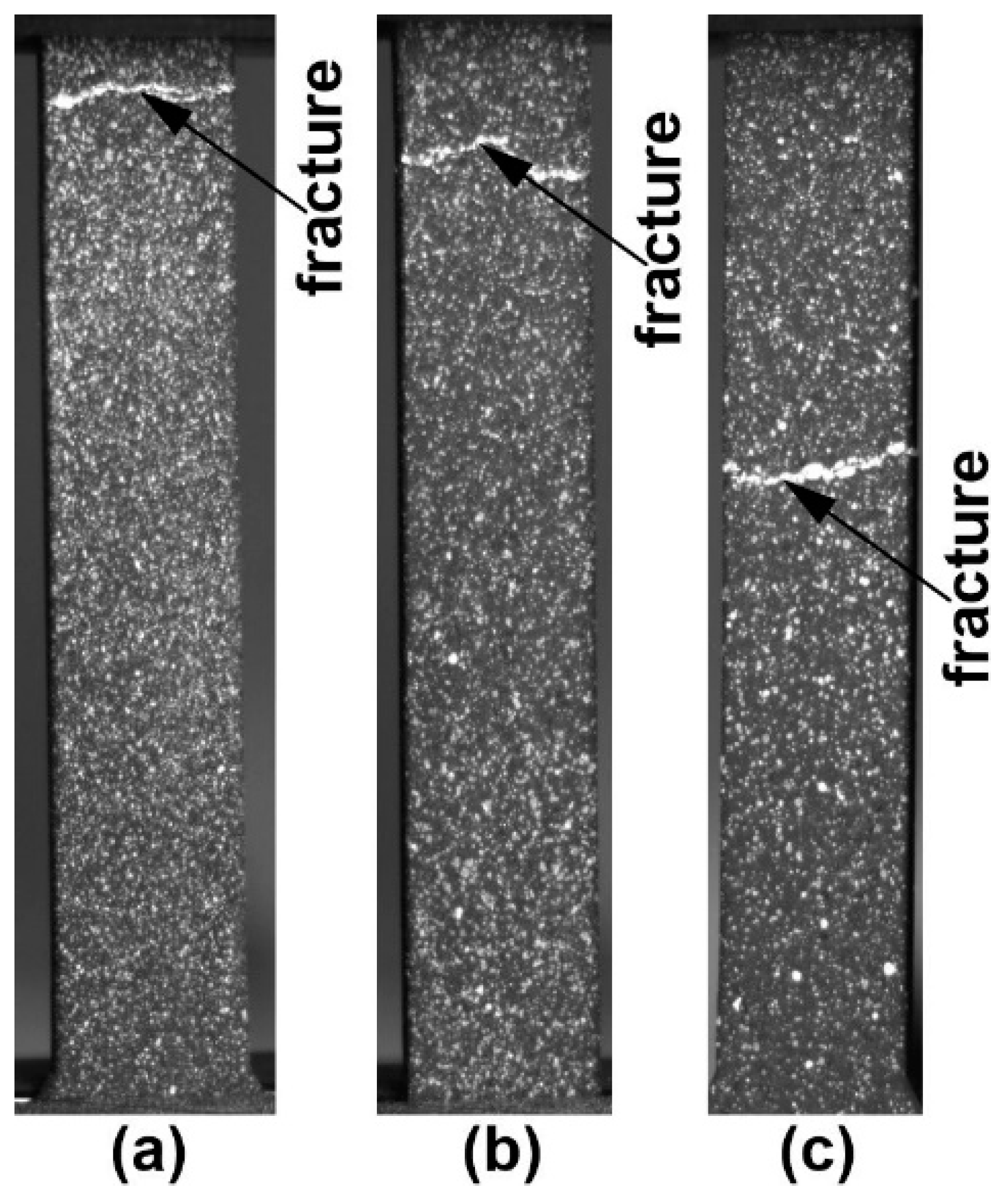 Preprints 67929 g002