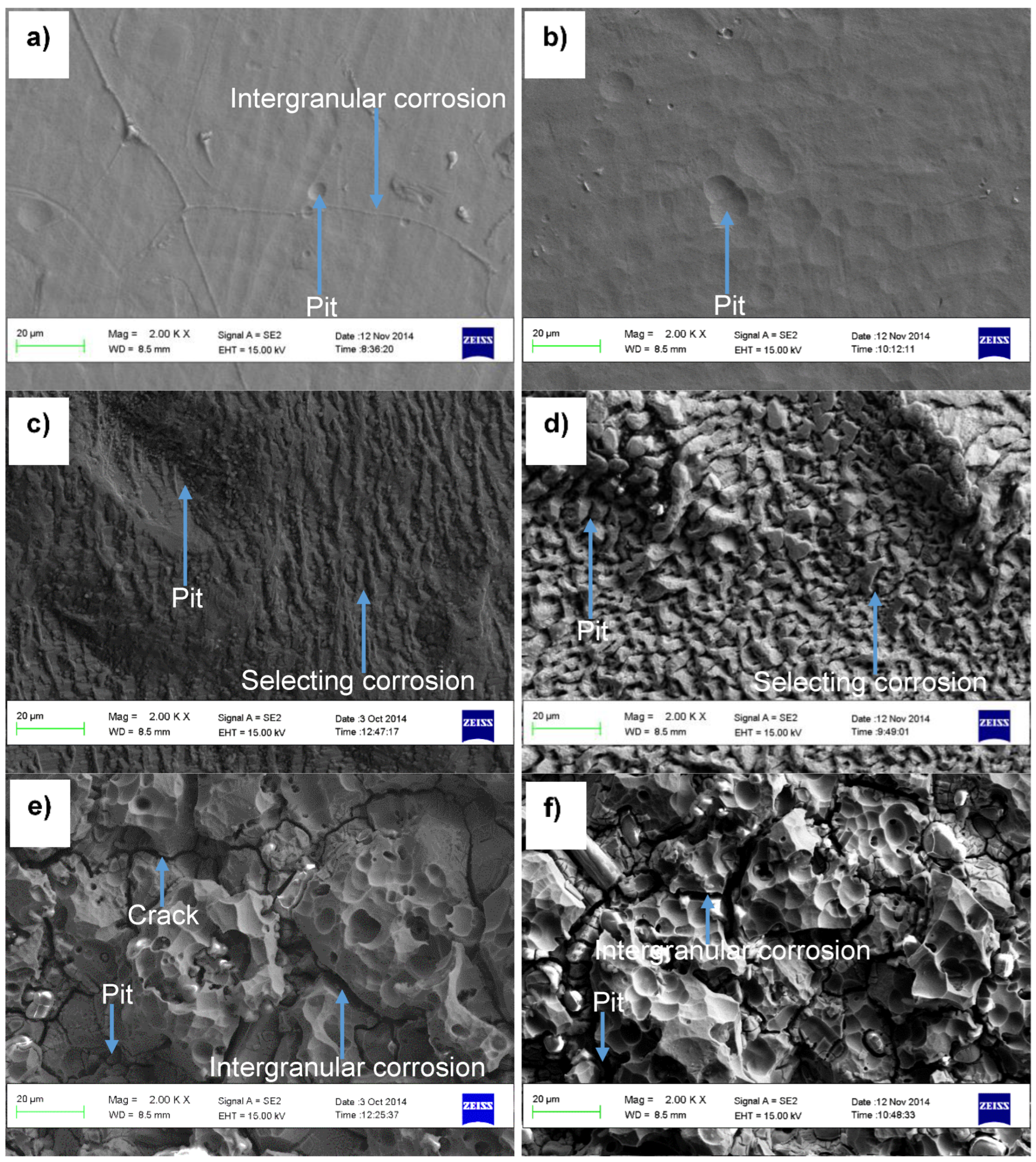 Preprints 120191 g004