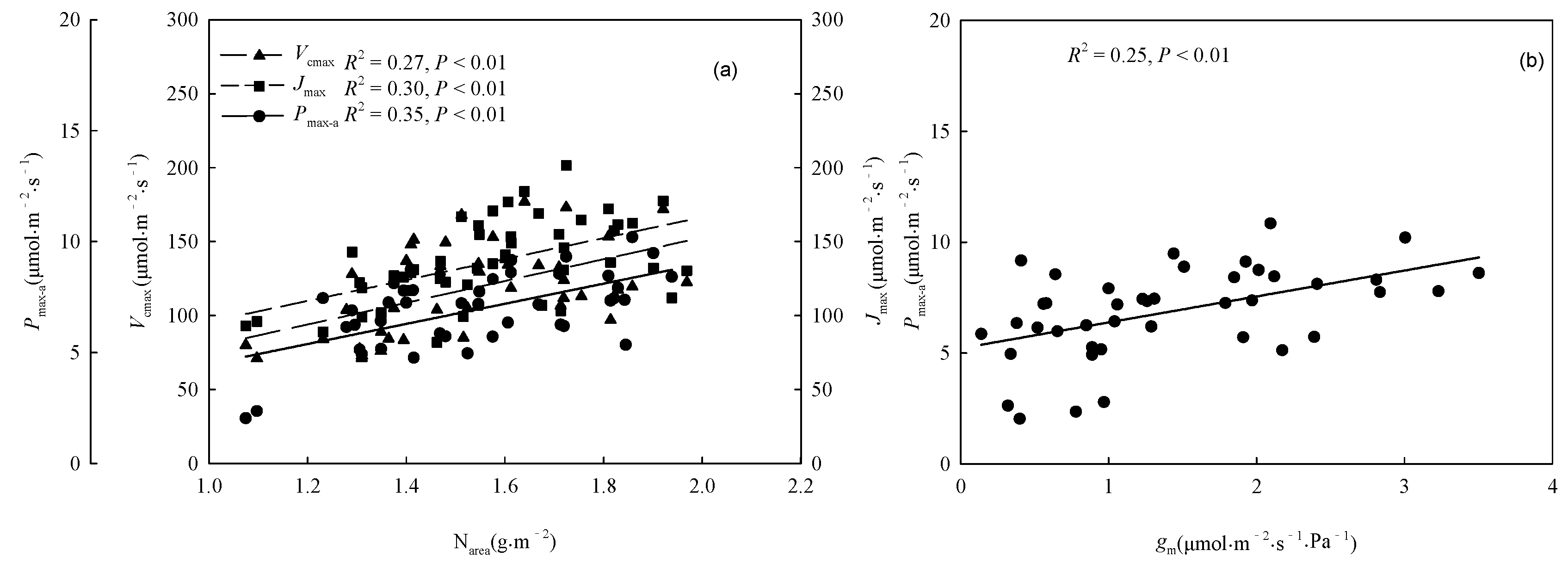 Preprints 104550 g006