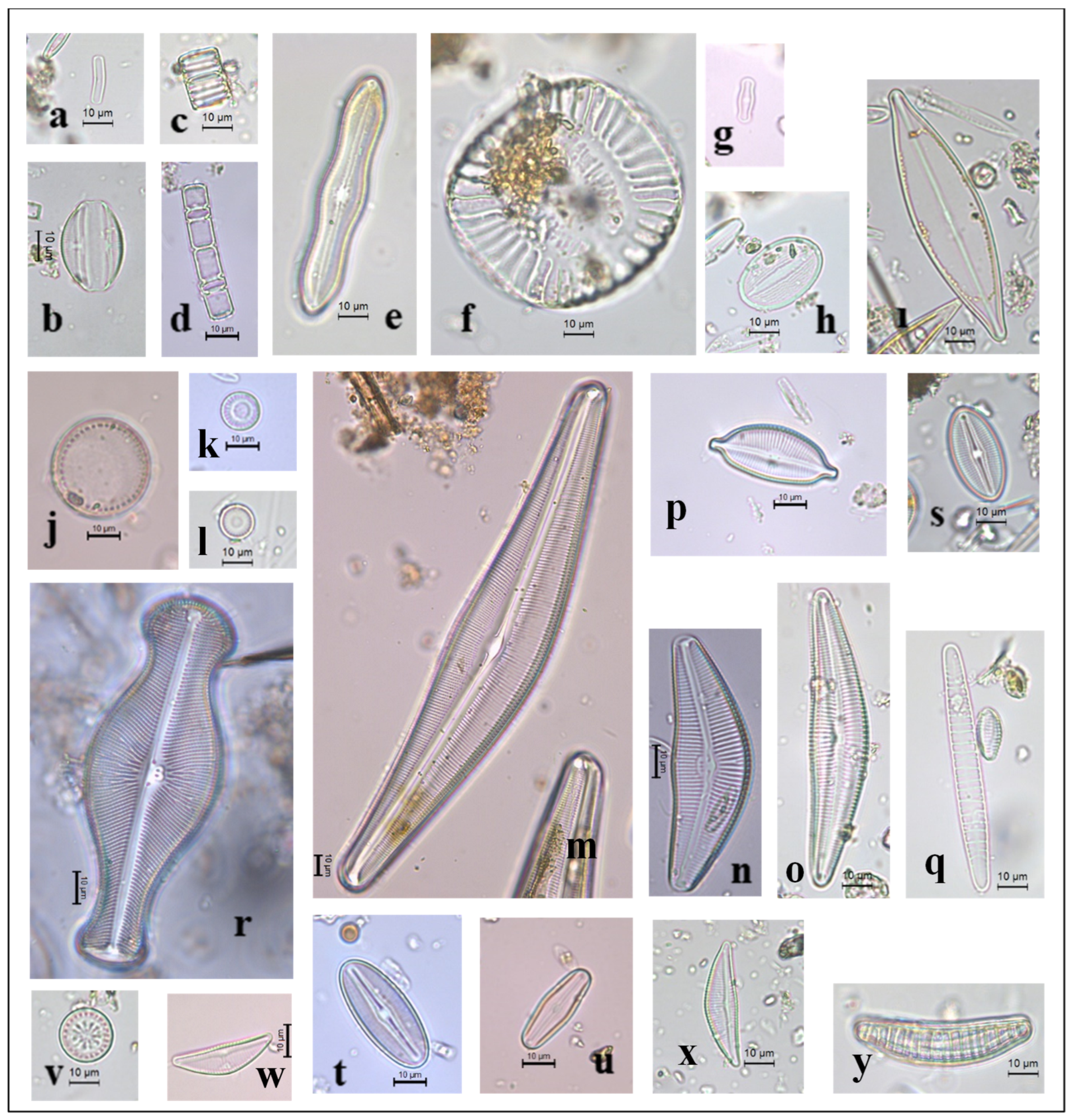 Preprints 96992 g0a1