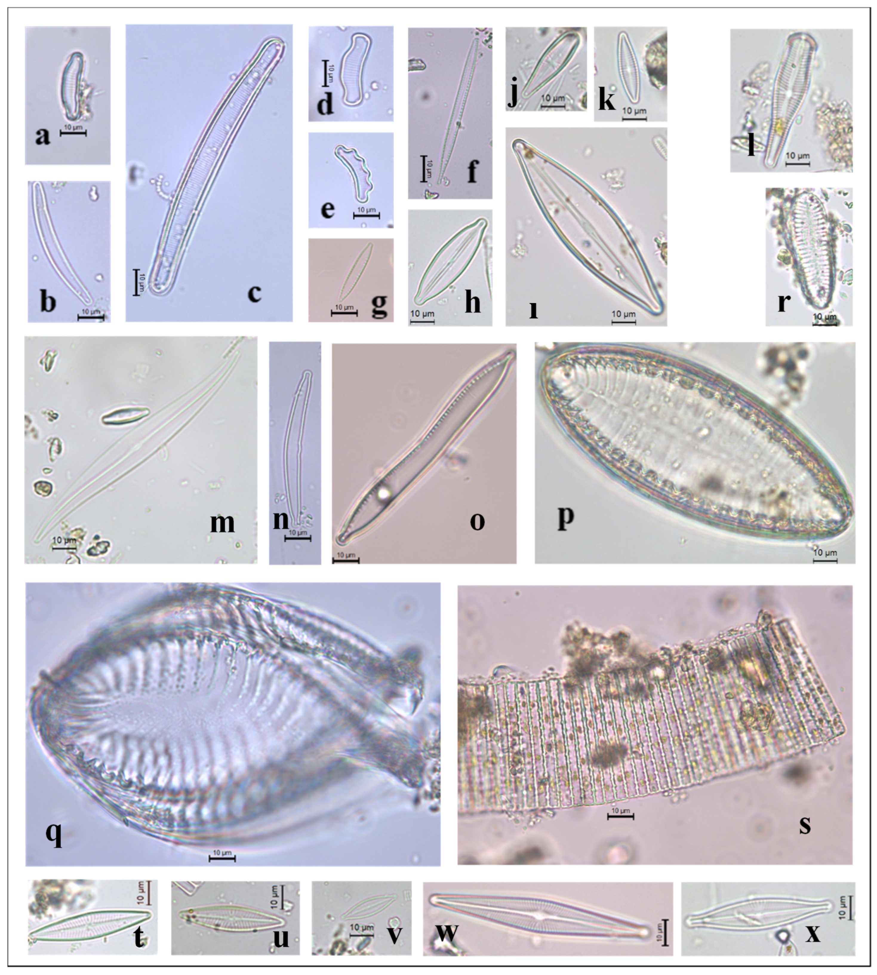 Preprints 96992 g0a2