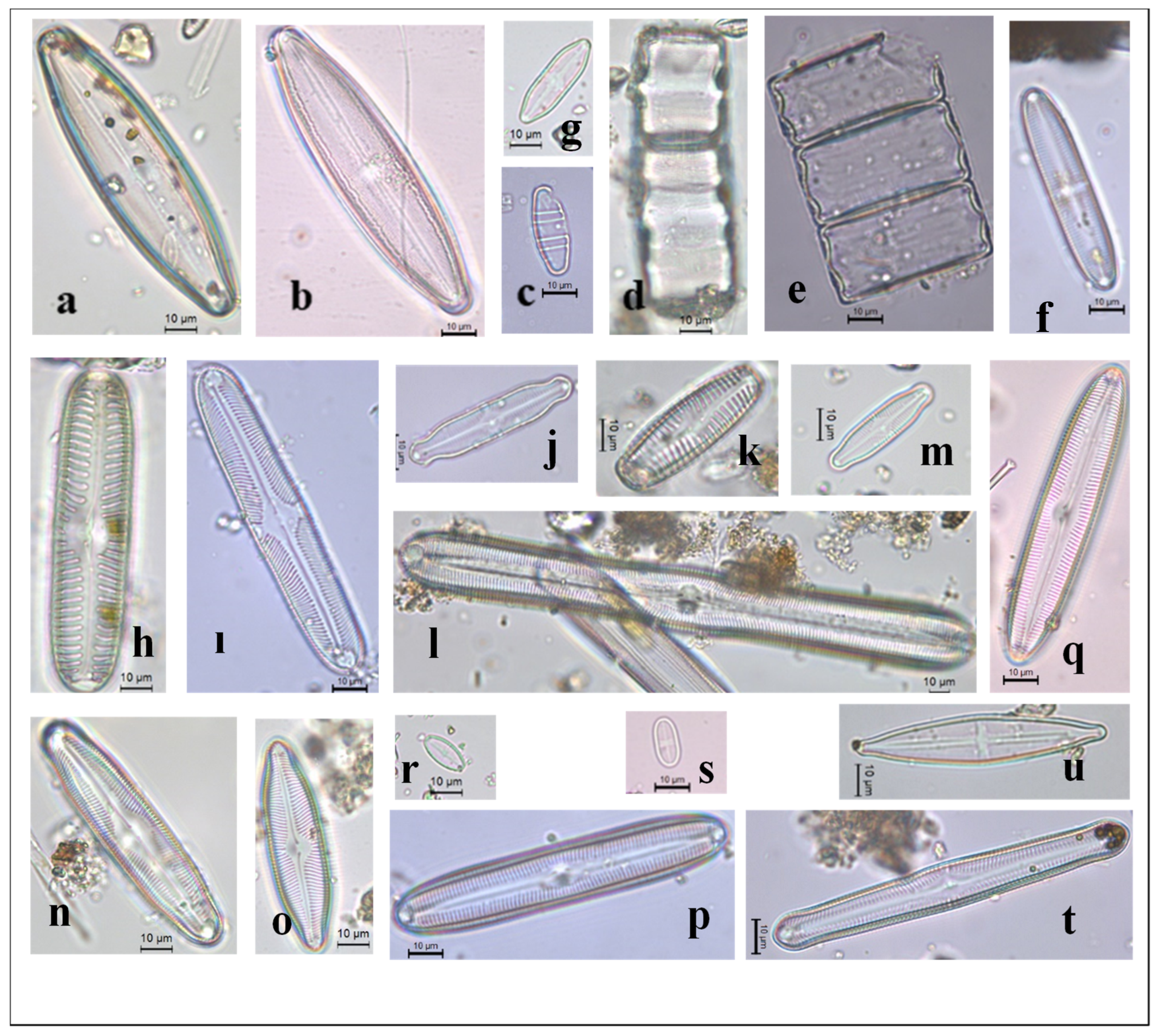 Preprints 96992 g0a3