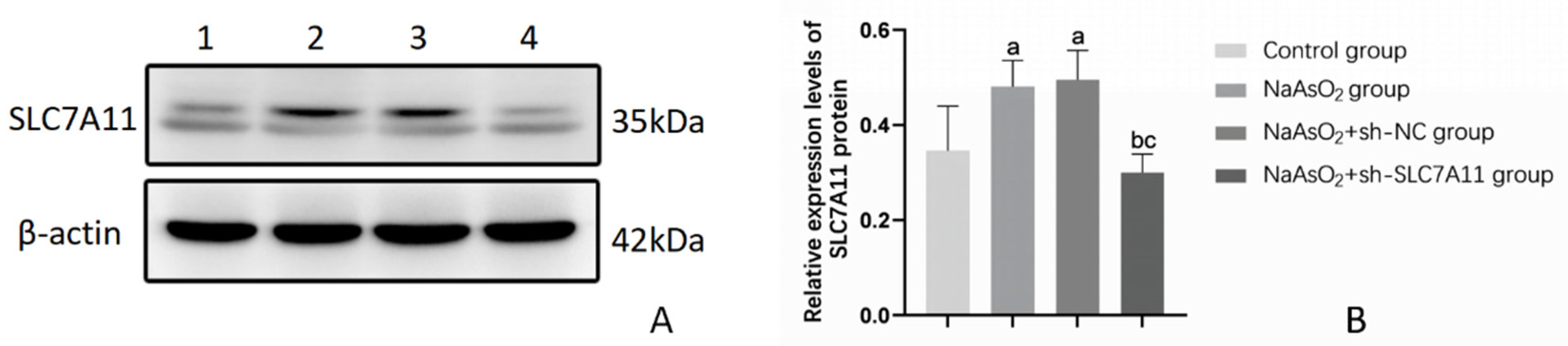 Preprints 109435 g002