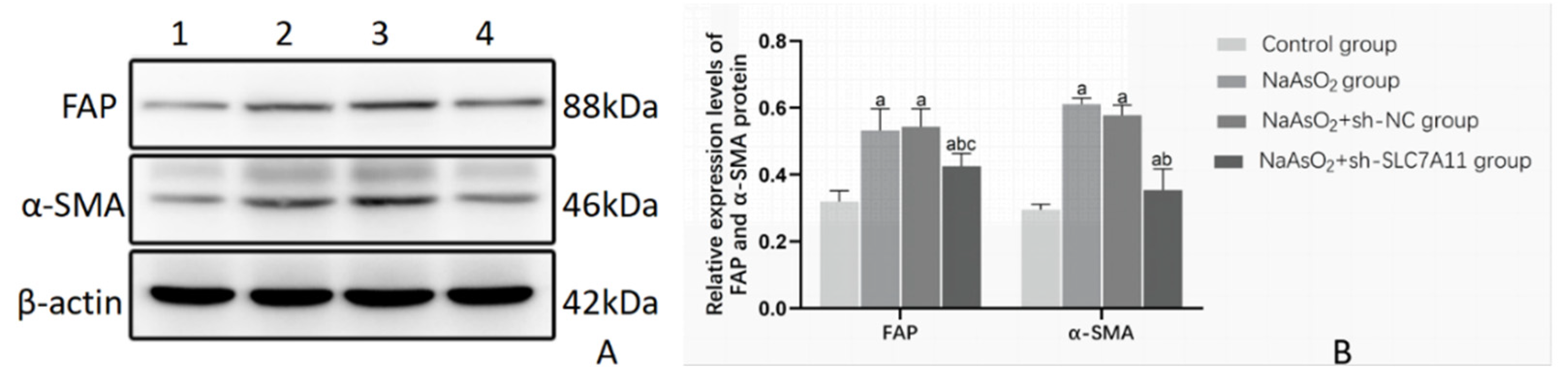 Preprints 109435 g003