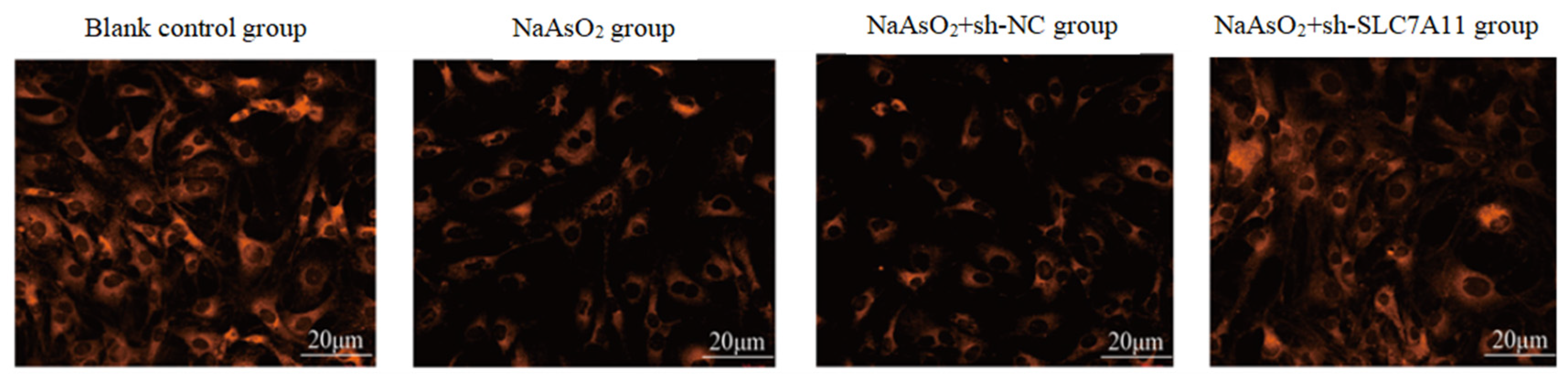 Preprints 109435 g004