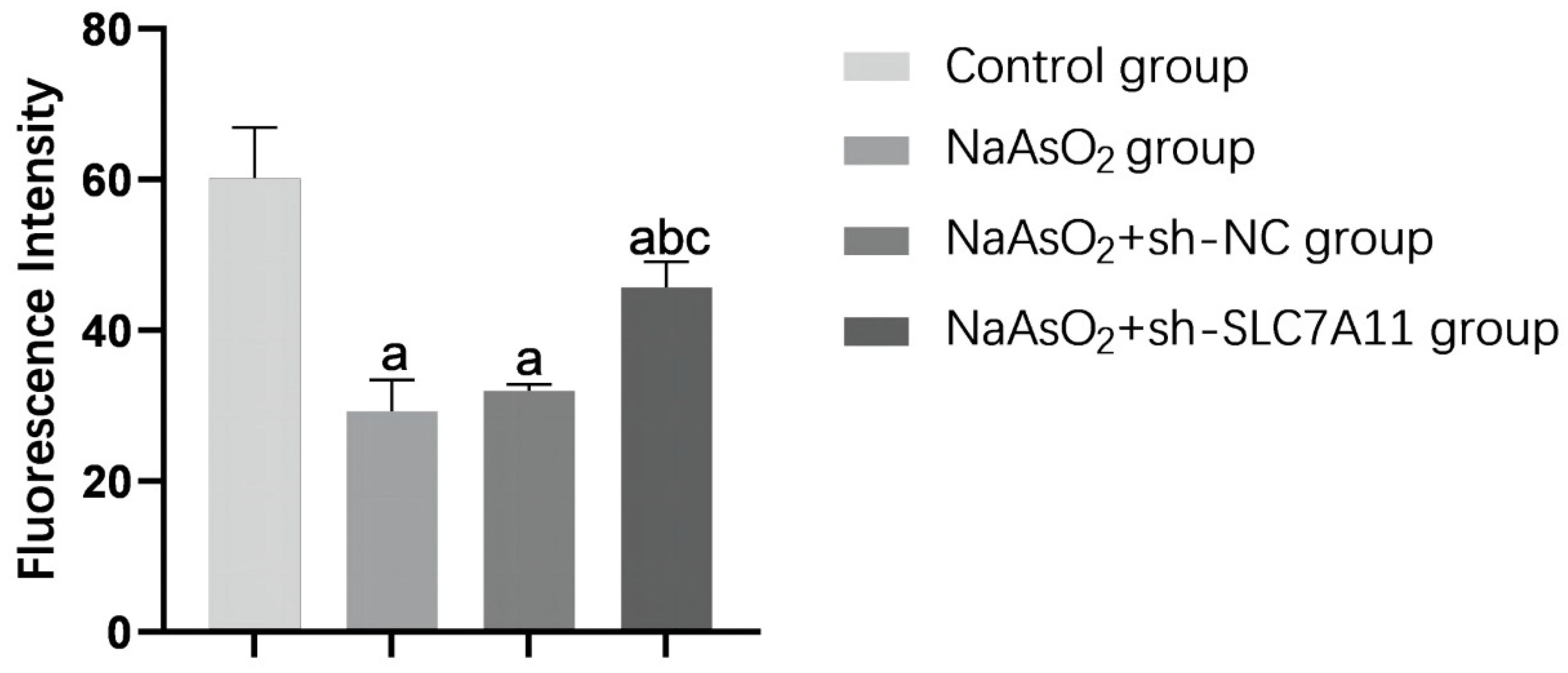 Preprints 109435 g005