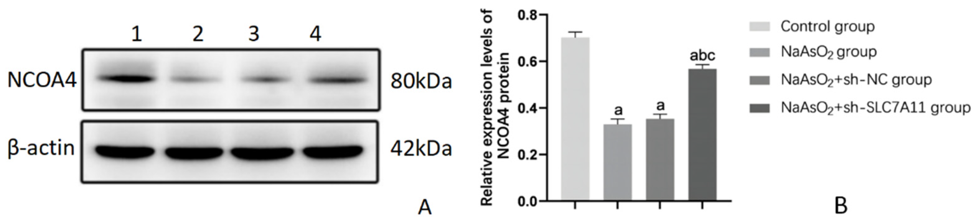 Preprints 109435 g006