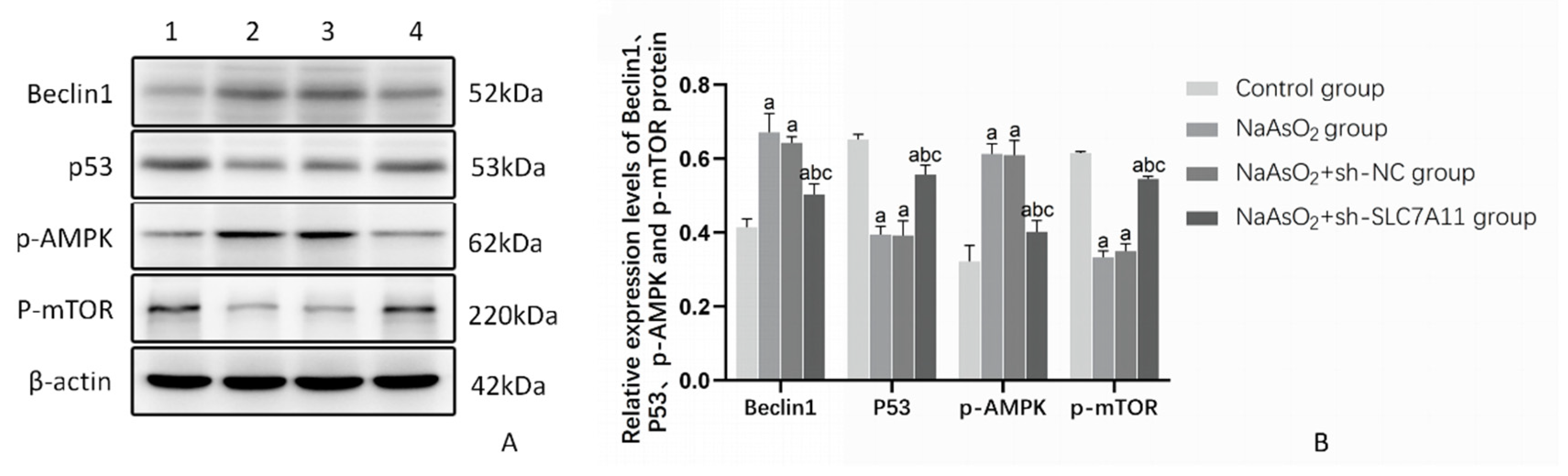 Preprints 109435 g008