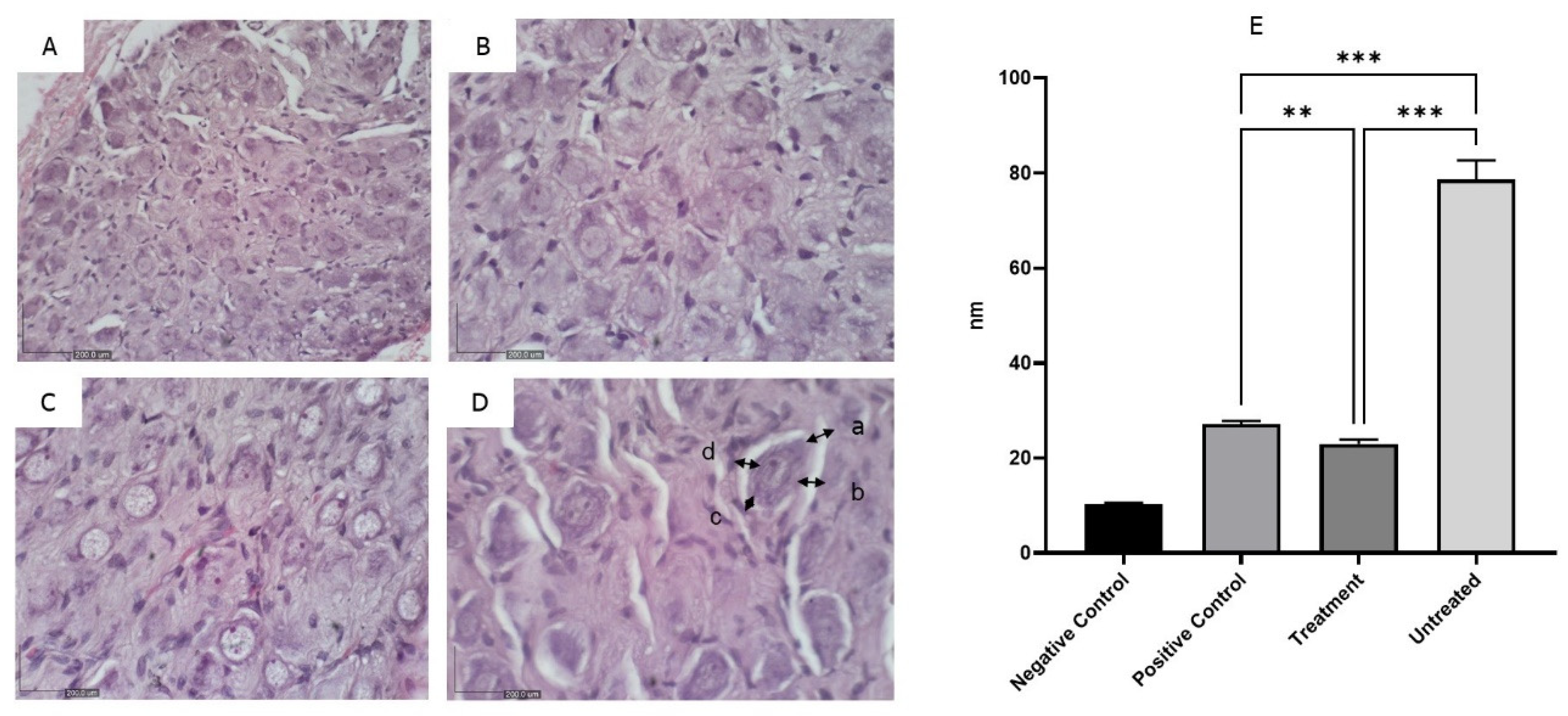 Preprints 119145 g005