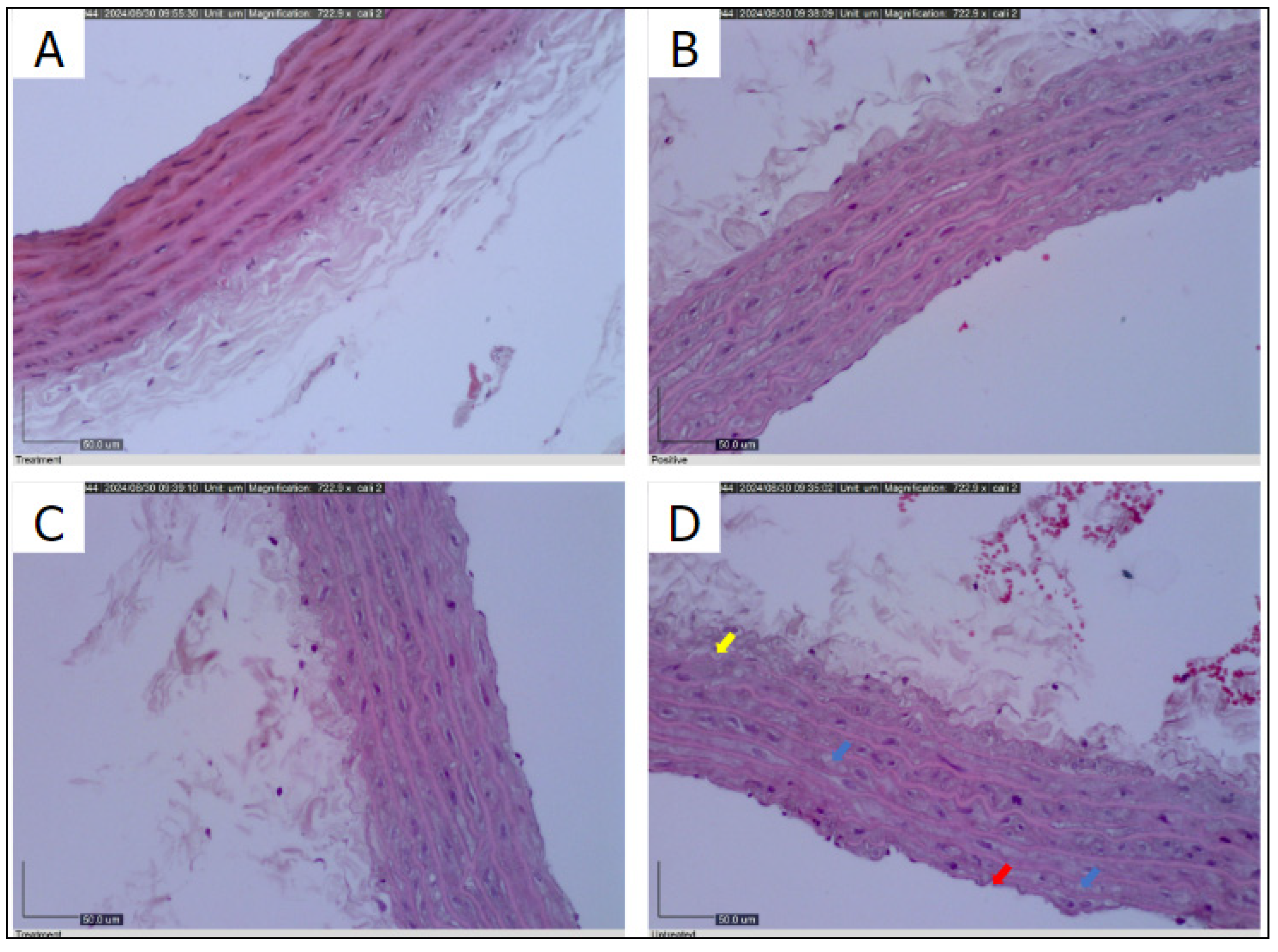 Preprints 119145 g006