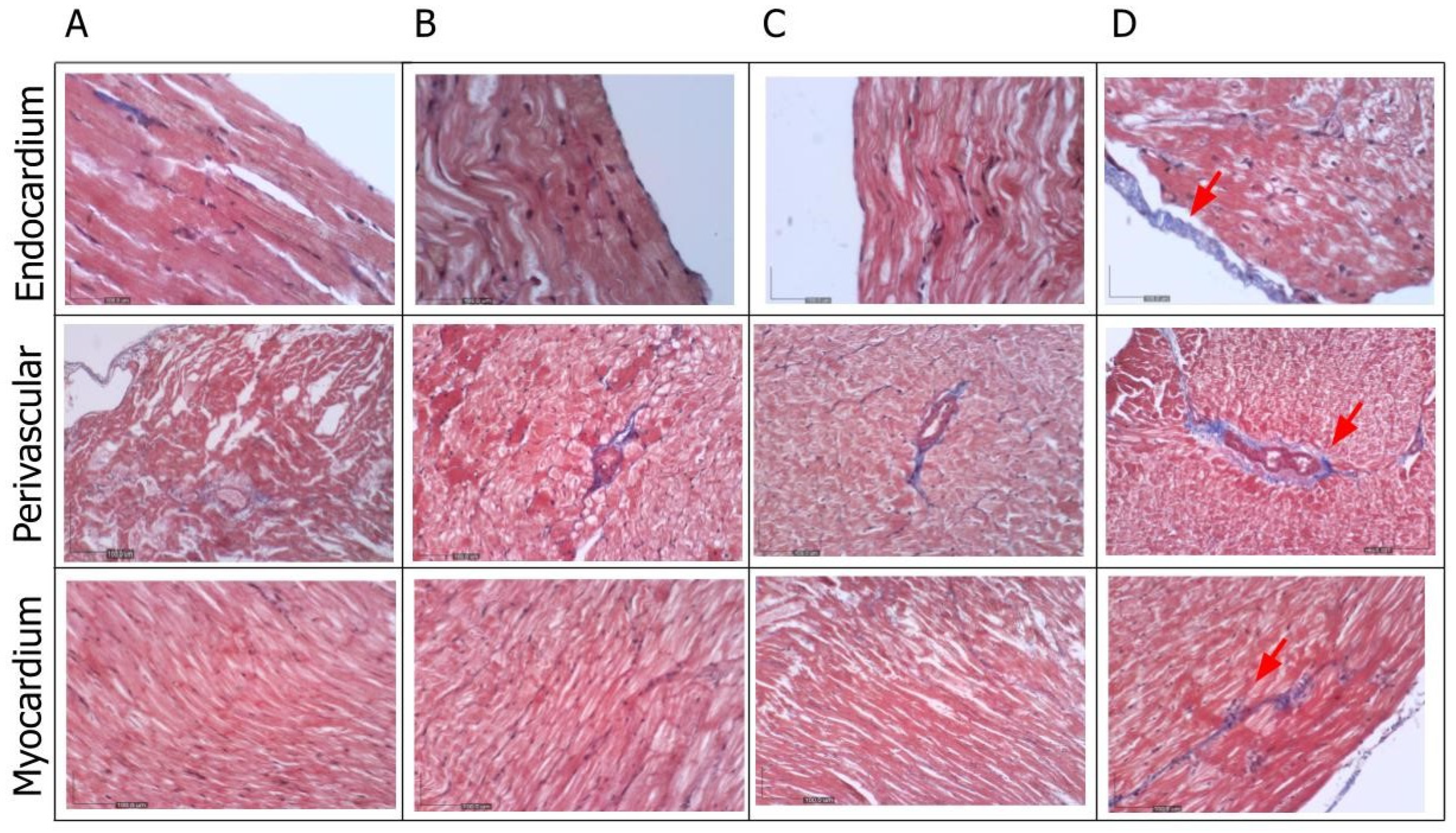 Preprints 119145 g007