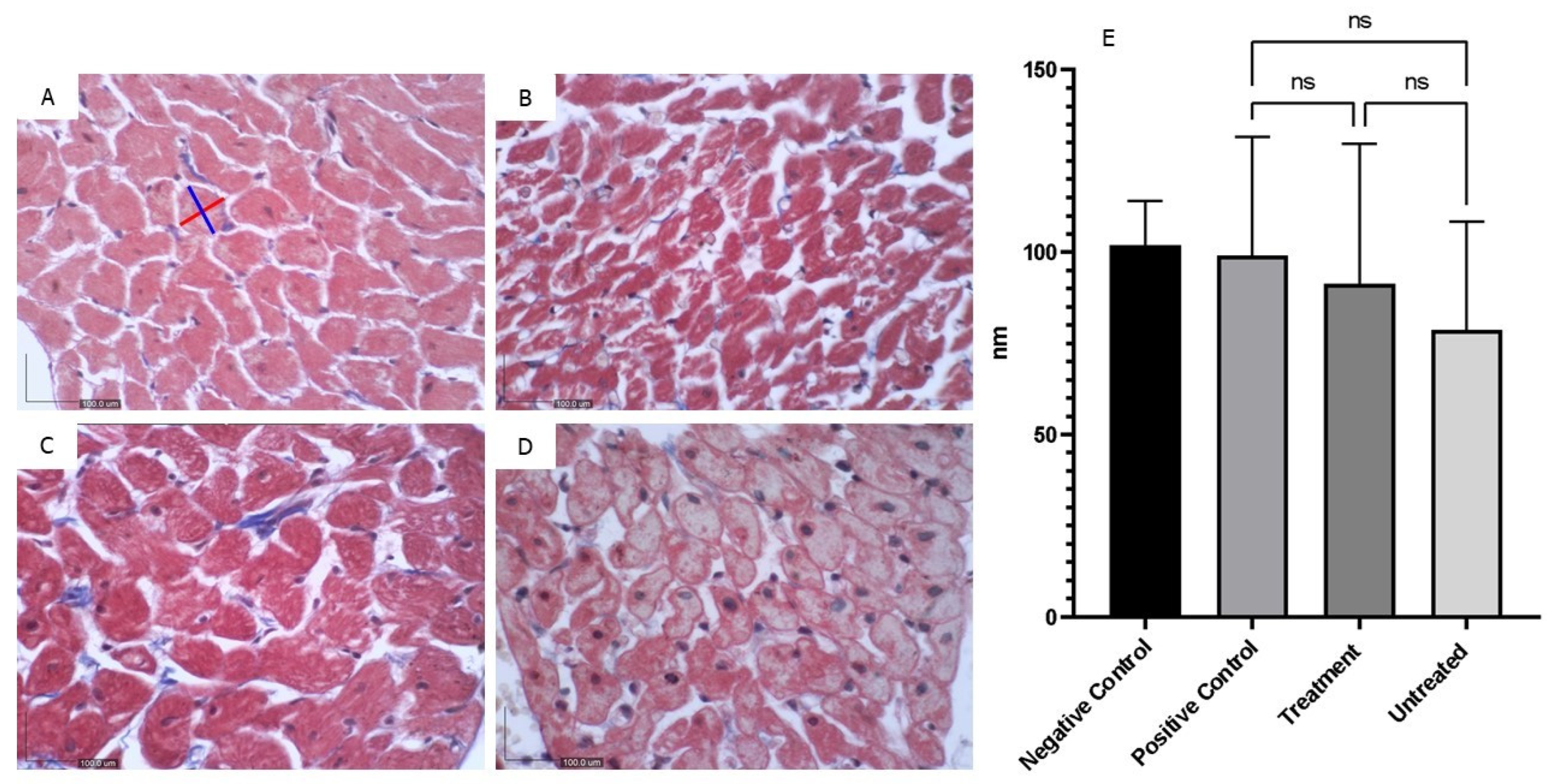 Preprints 119145 g008