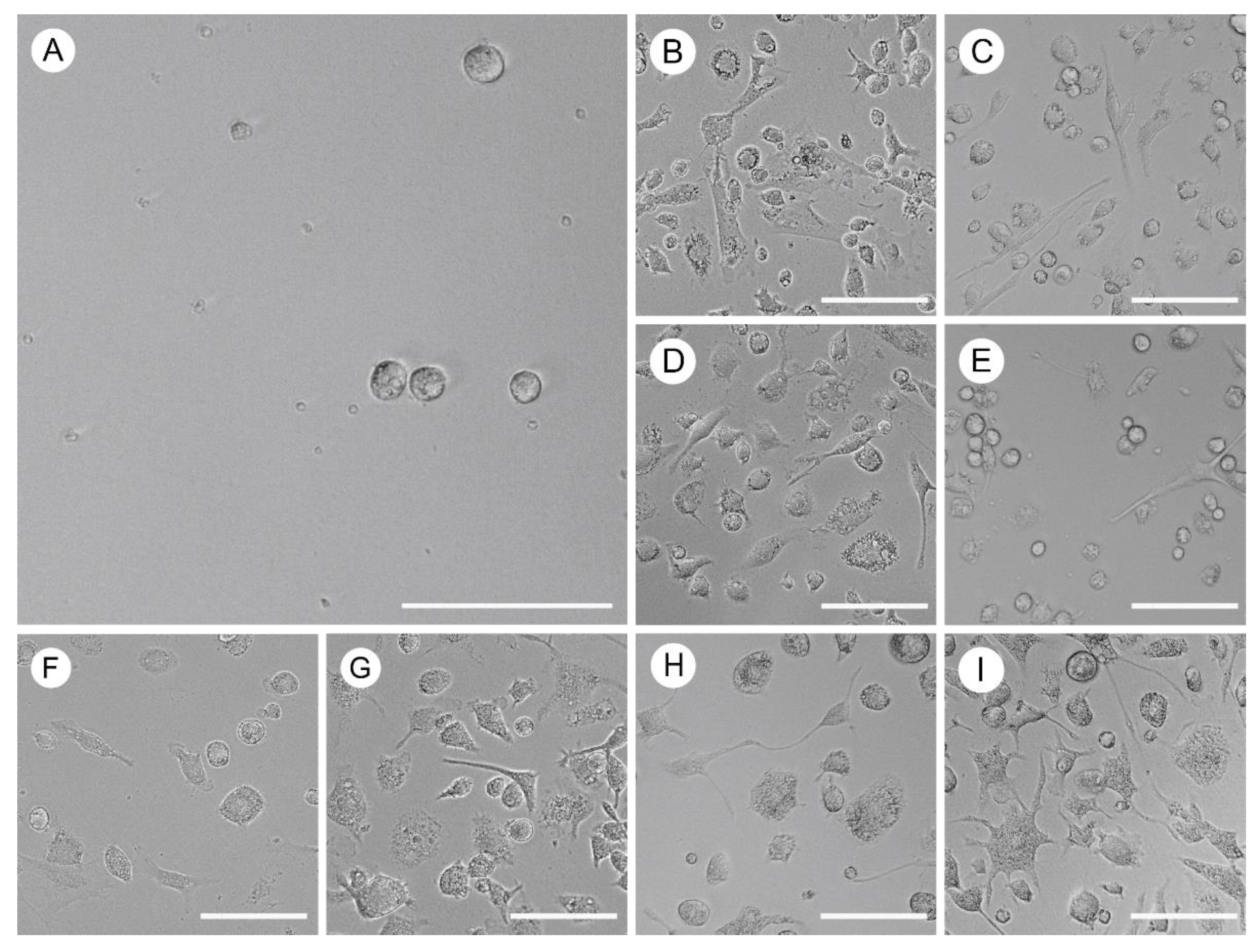 Preprints 112390 g001