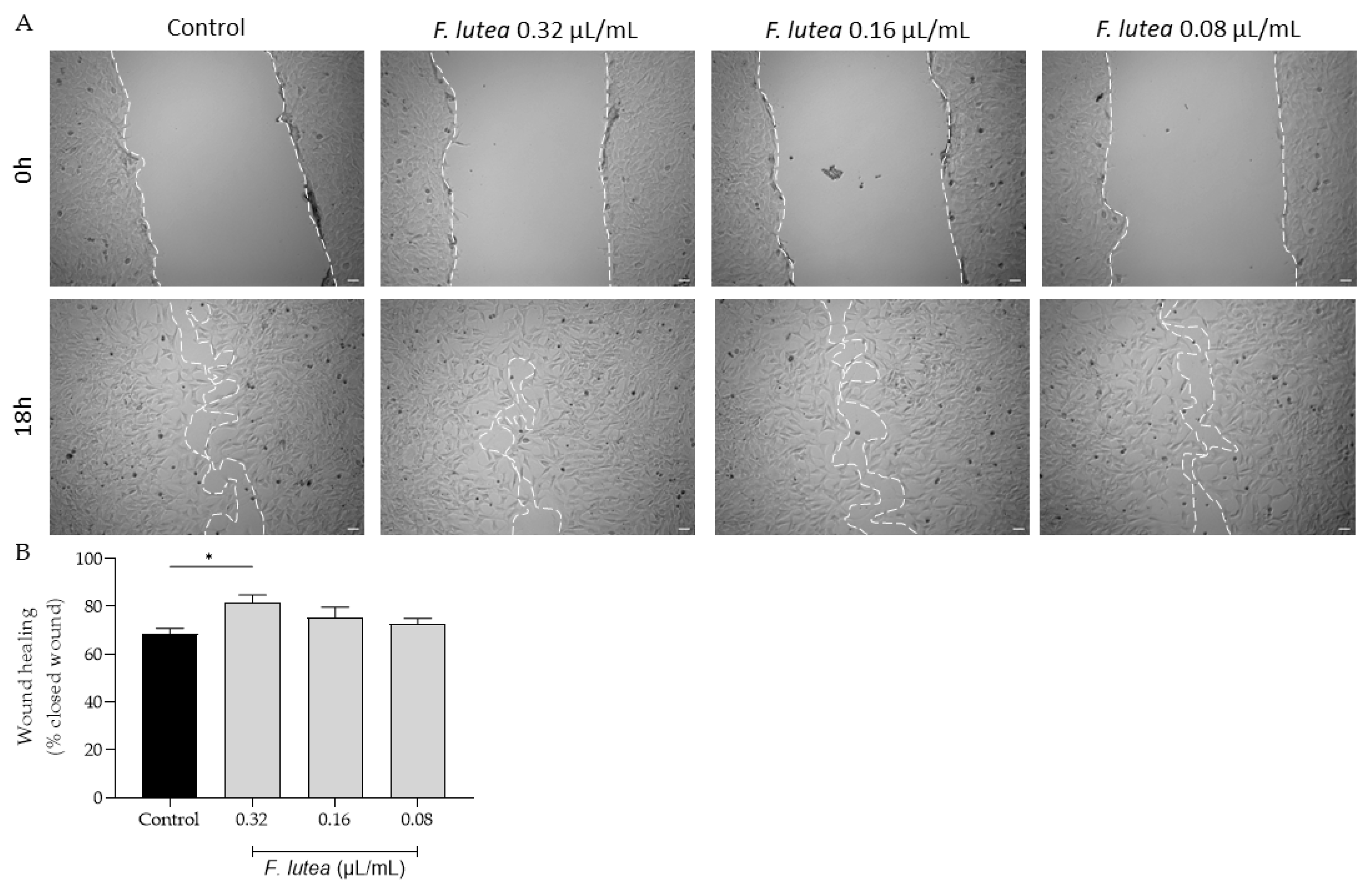 Preprints 87912 g003