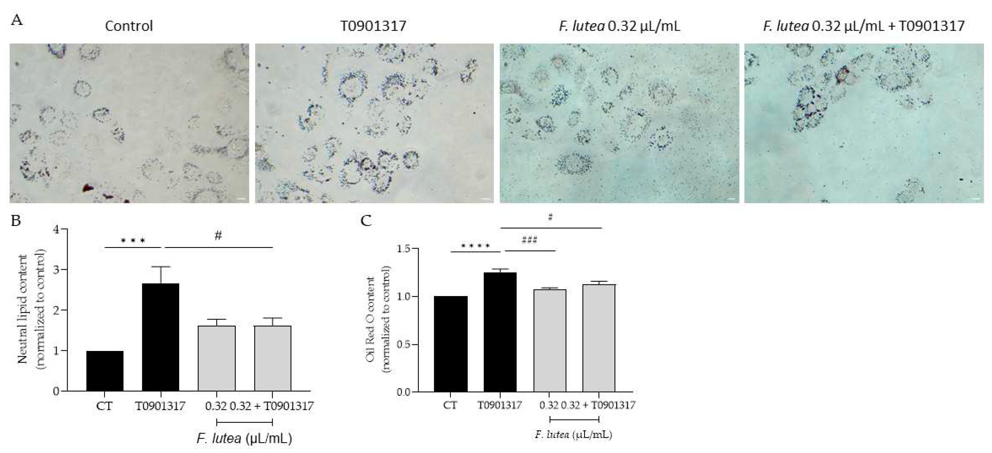 Preprints 87912 g004