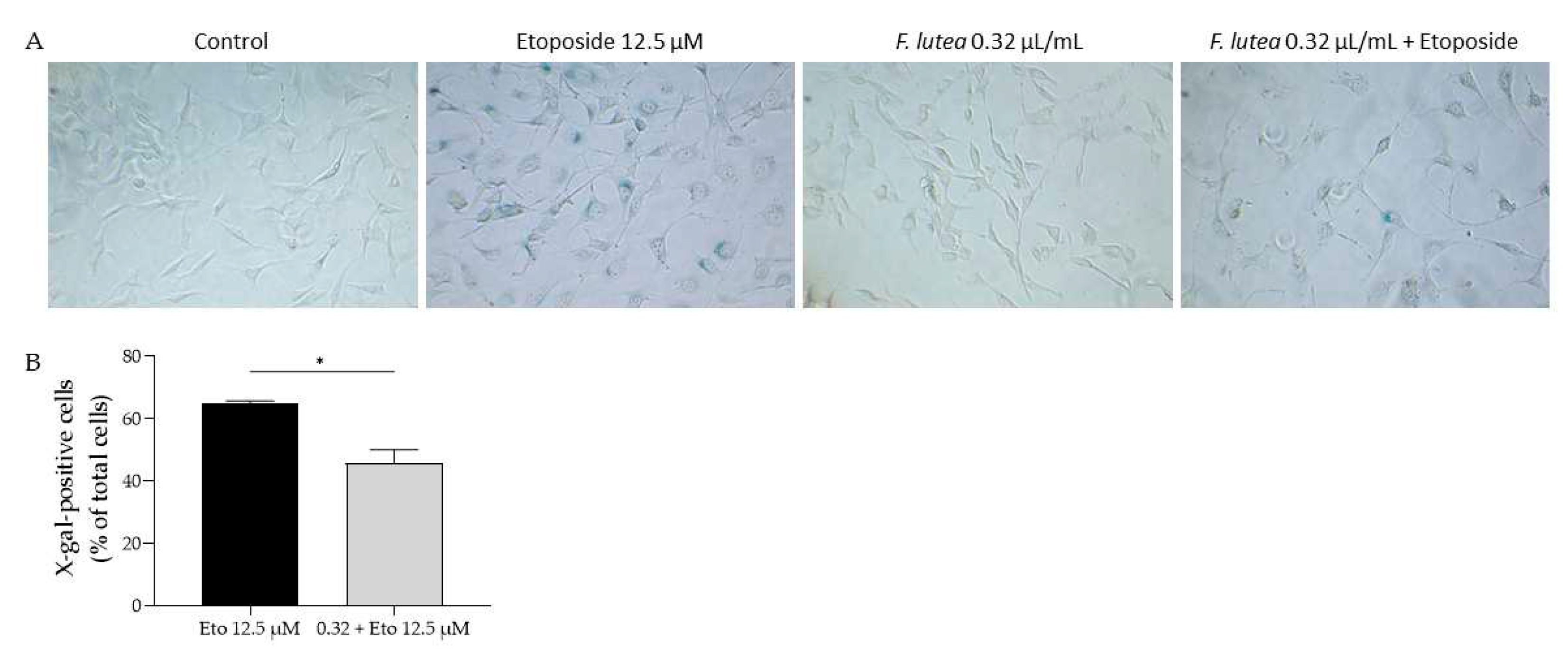 Preprints 87912 g006