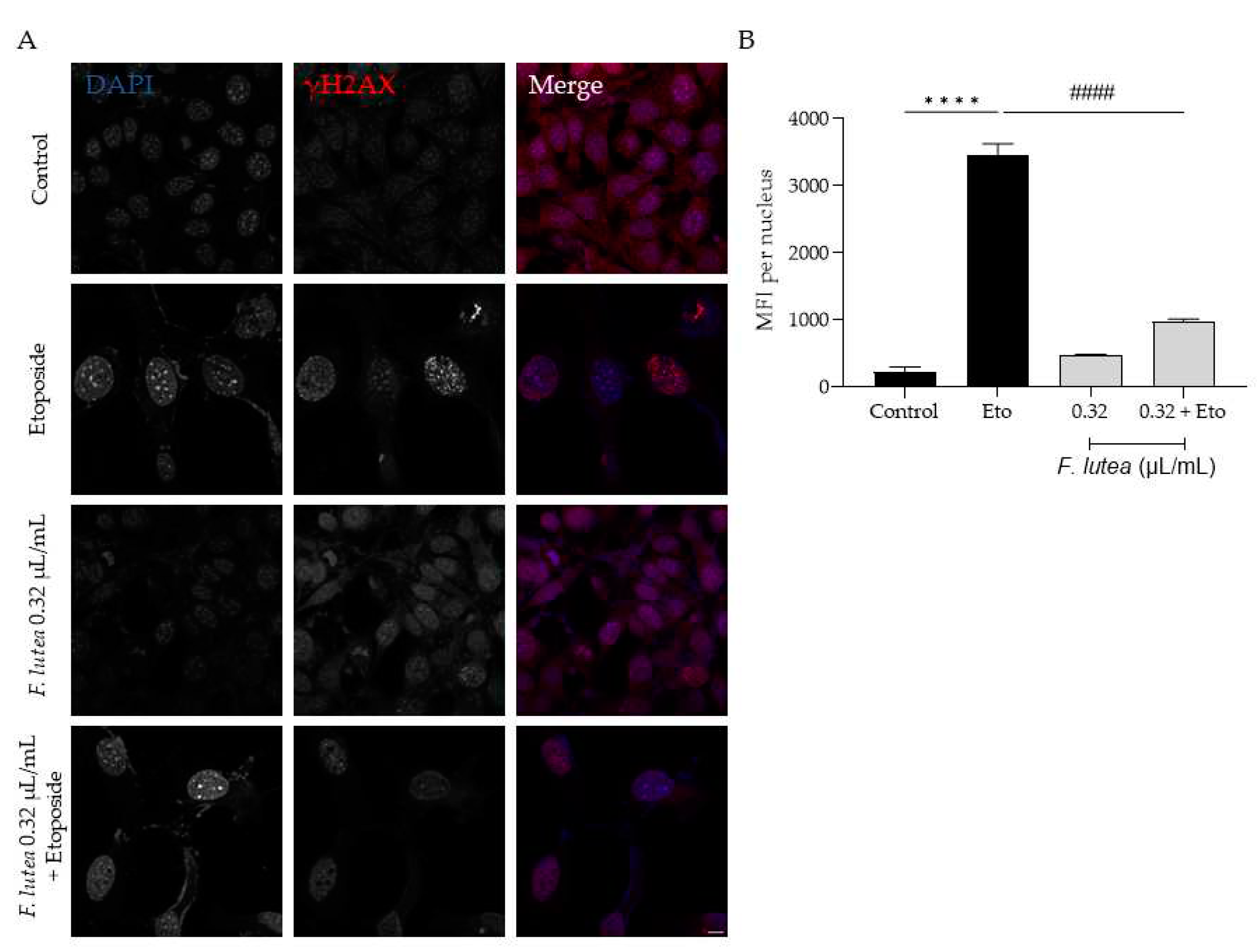 Preprints 87912 g007