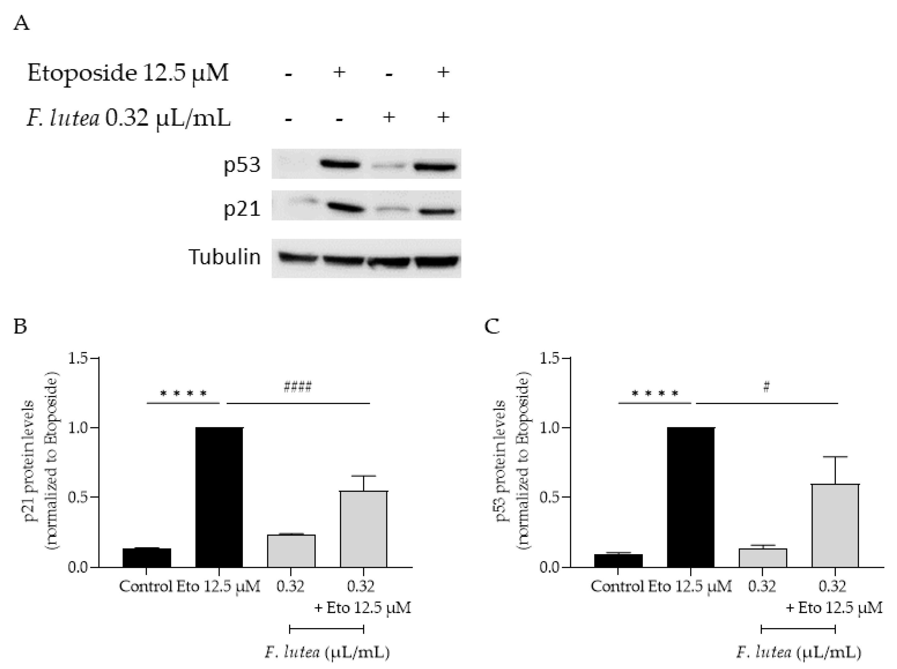 Preprints 87912 g008