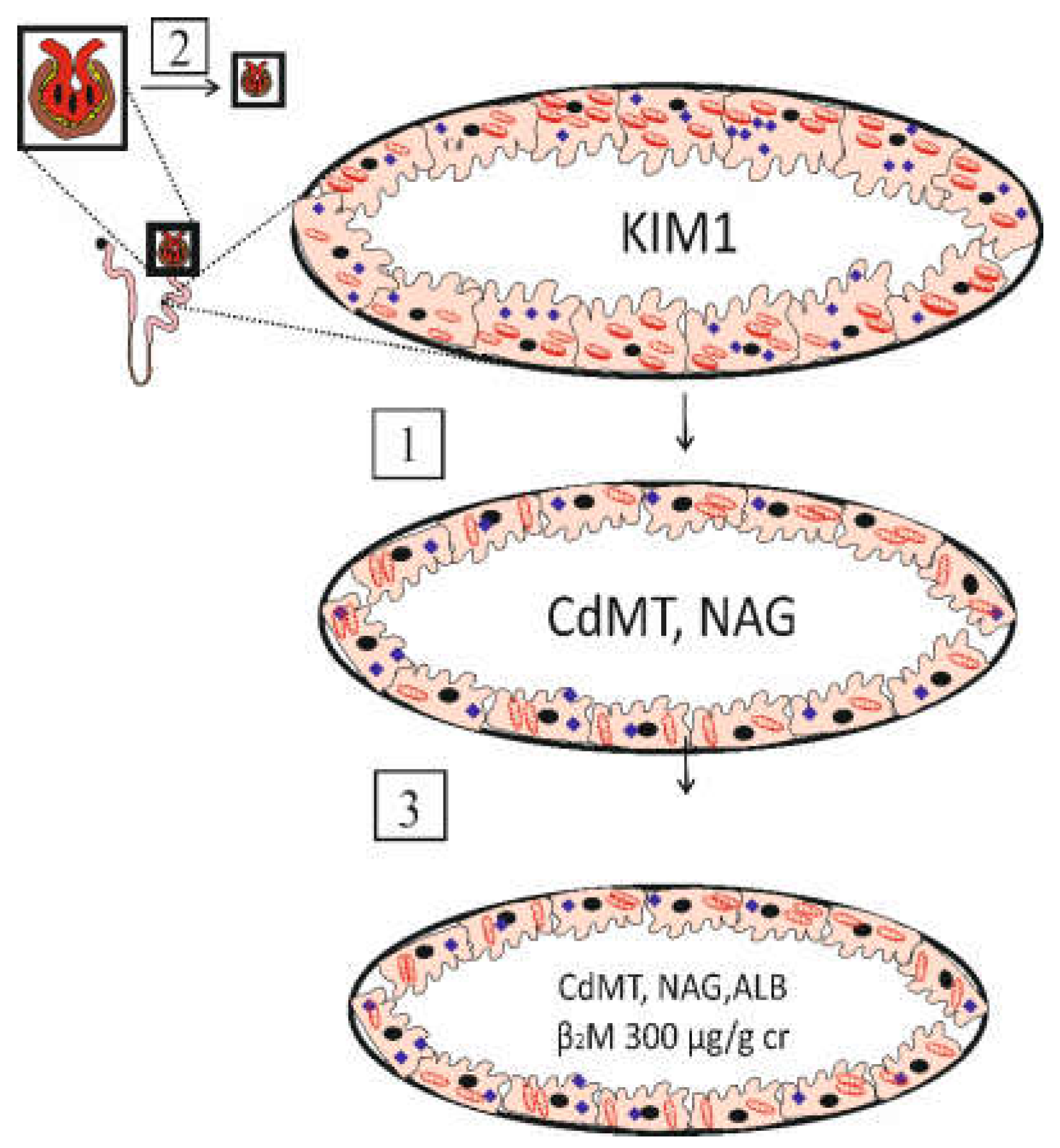 Preprints 105648 g001