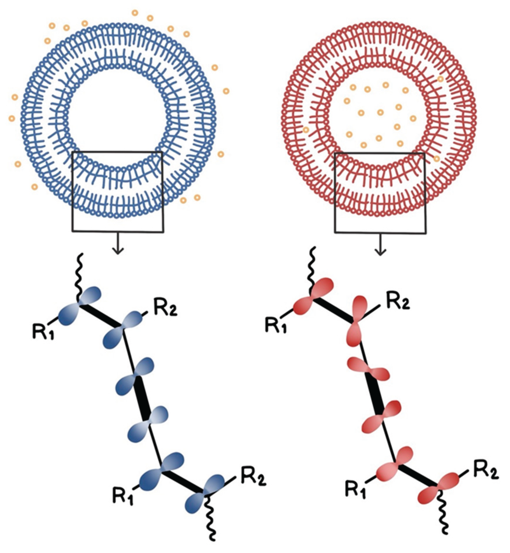 Preprints 103208 g002