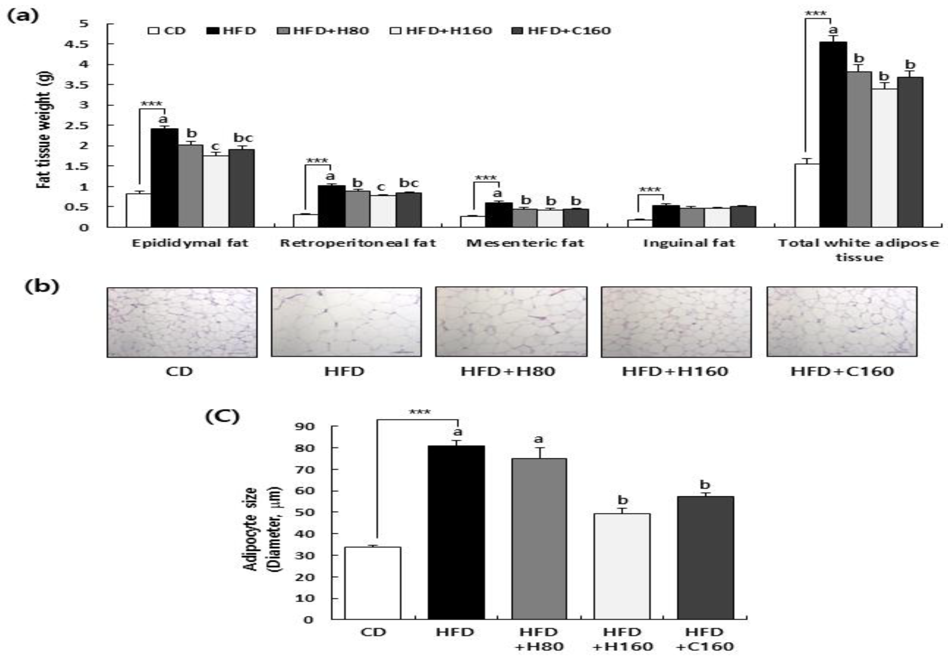 Preprints 82099 g003