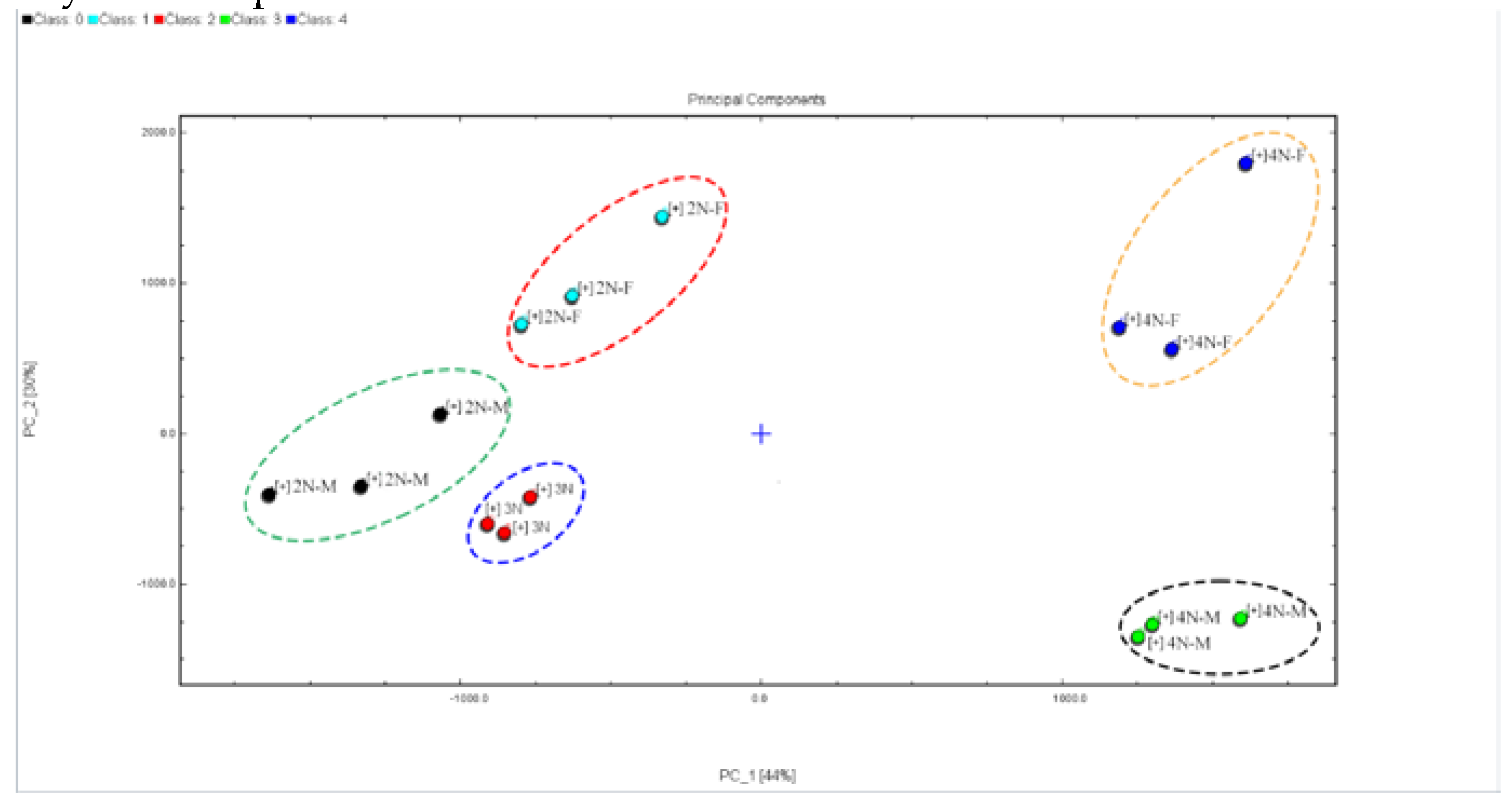 Preprints 72943 g007