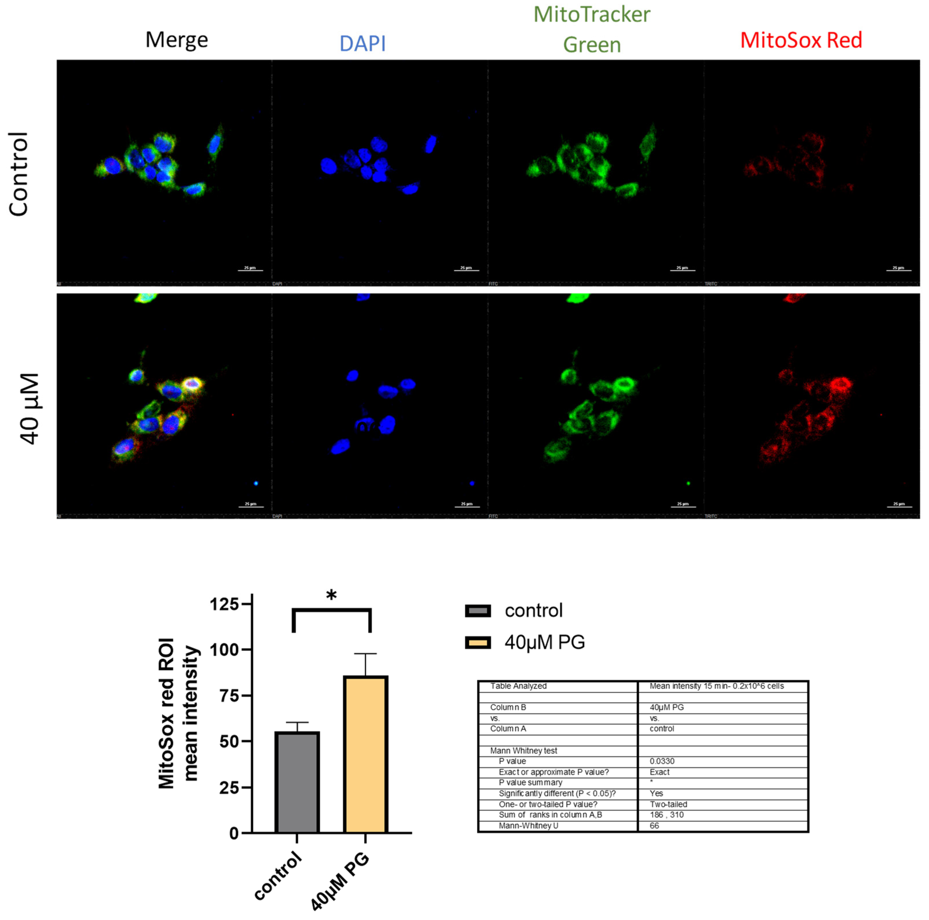 Preprints 91857 g004