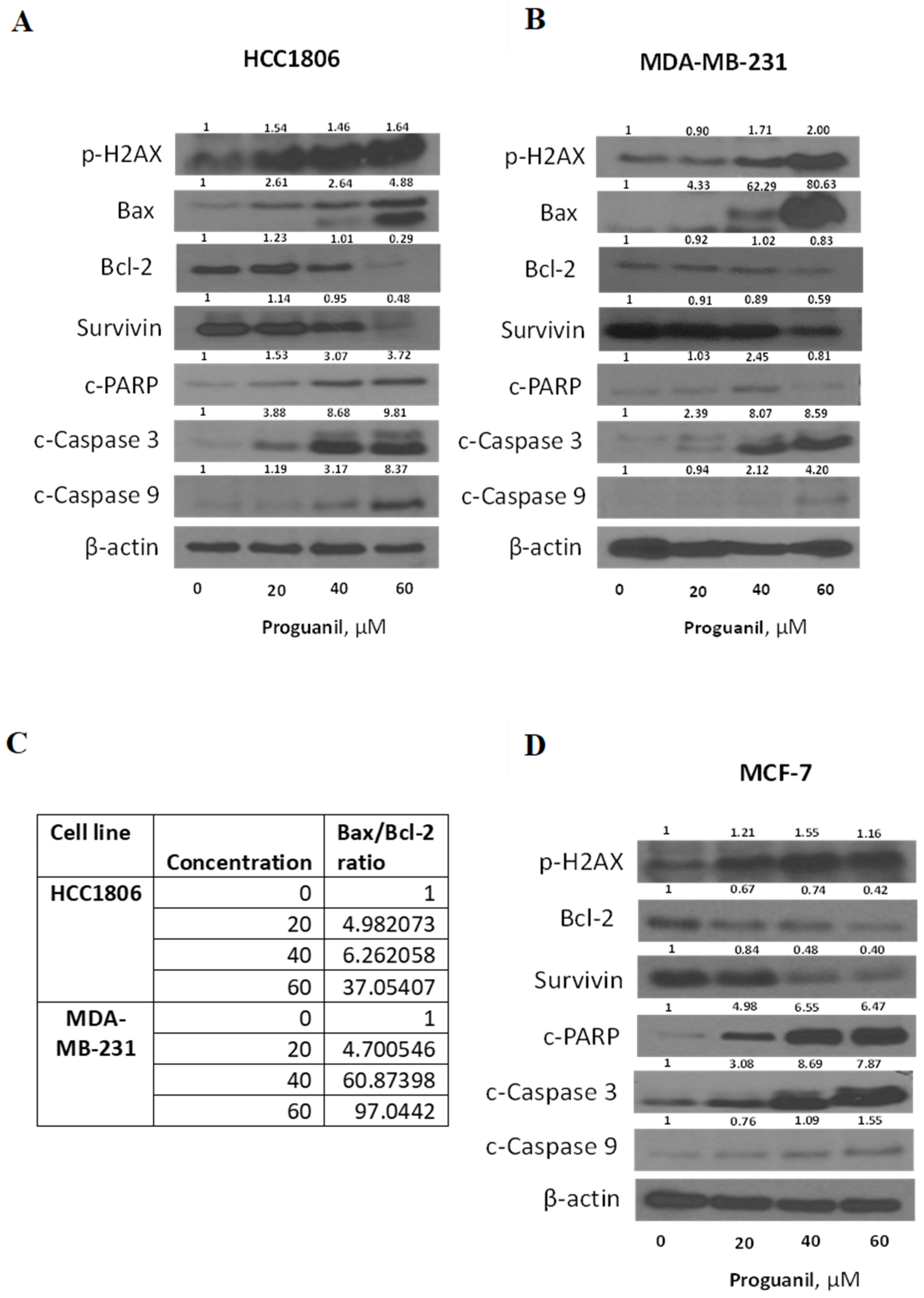 Preprints 91857 g006