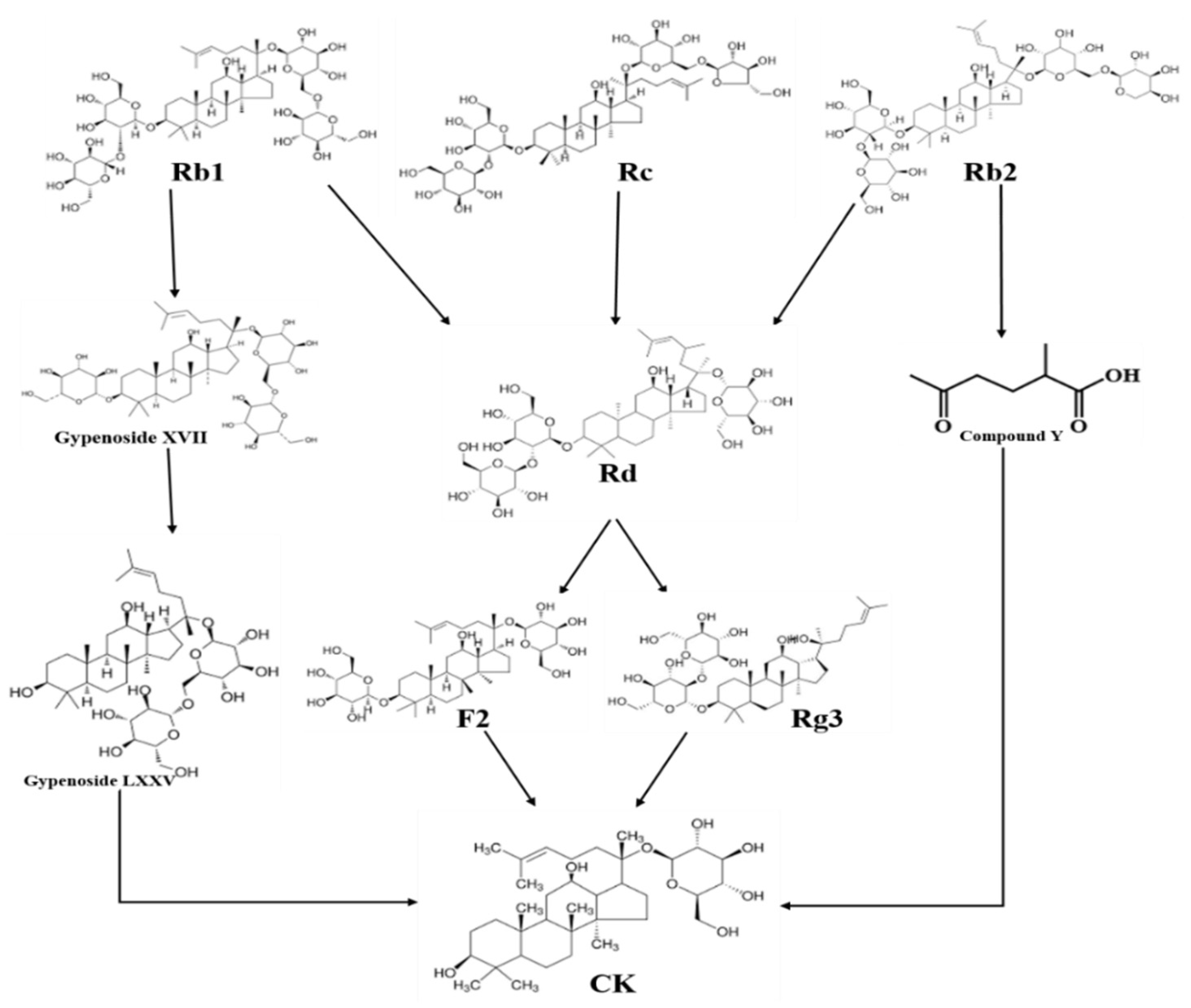 Preprints 98011 g001