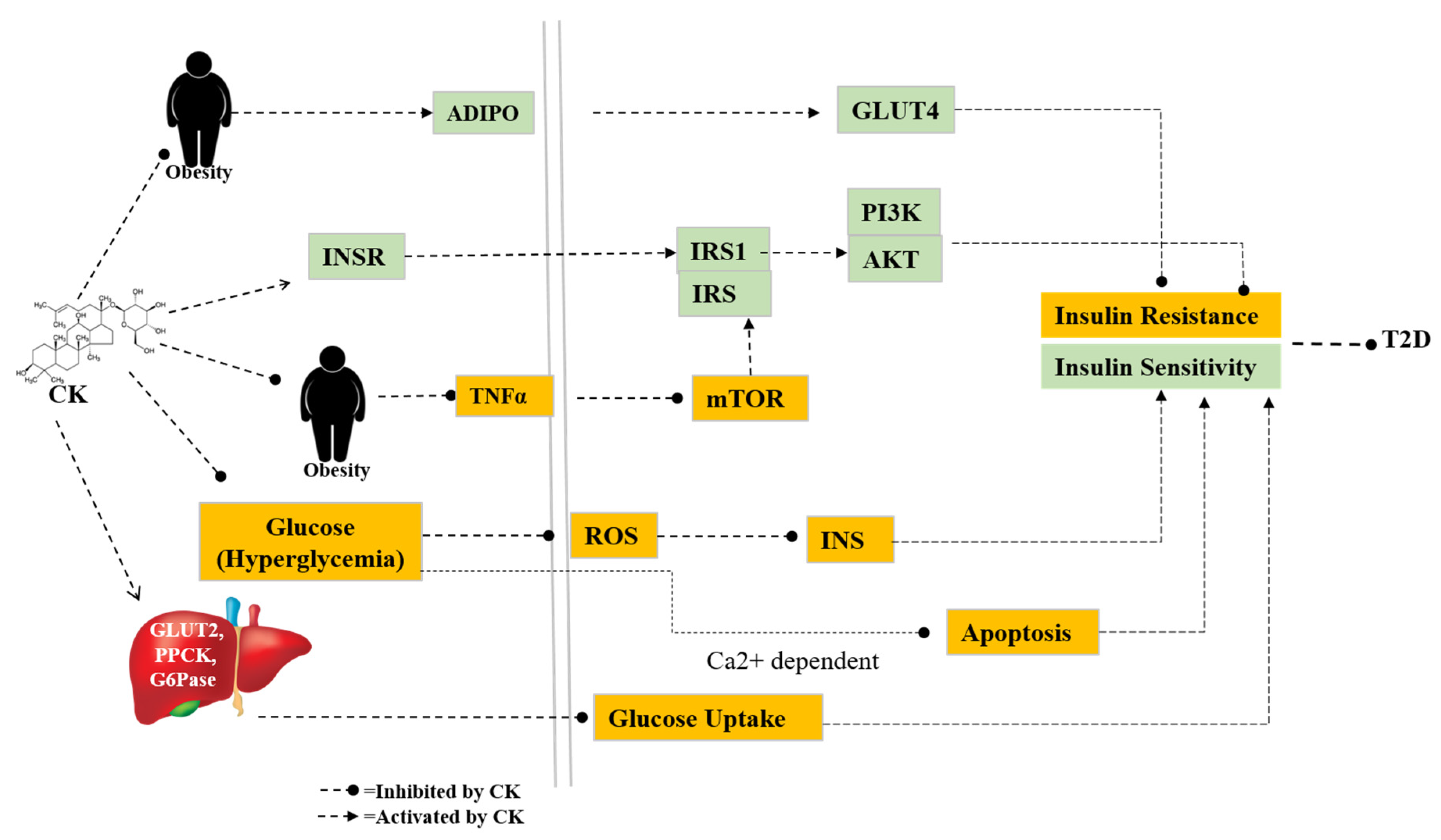 Preprints 98011 g003