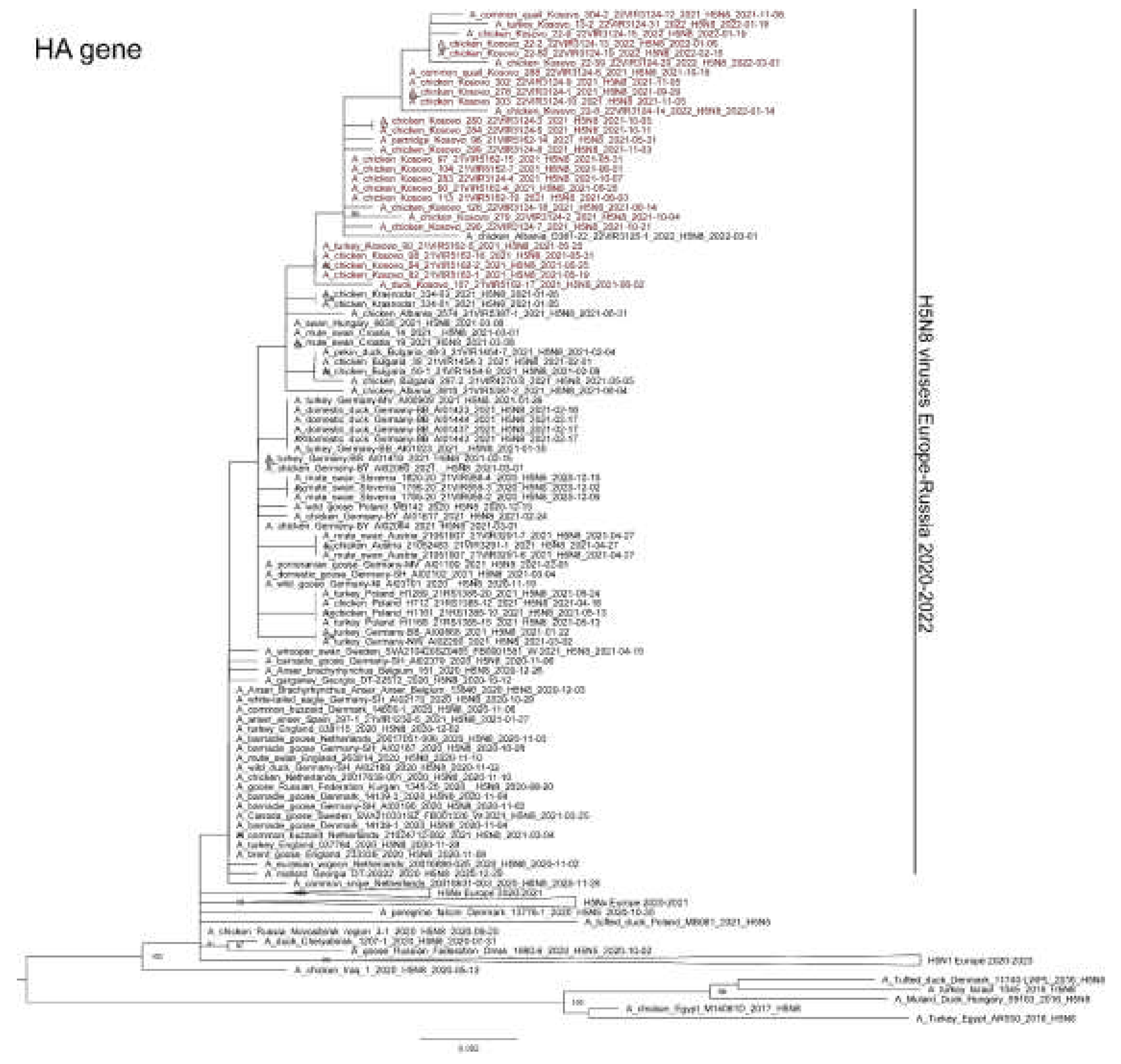 Preprints 83034 g003