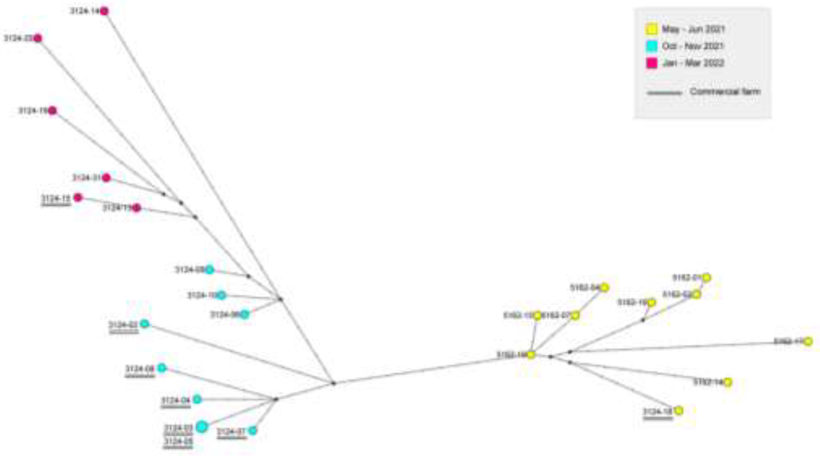 Preprints 83034 g004