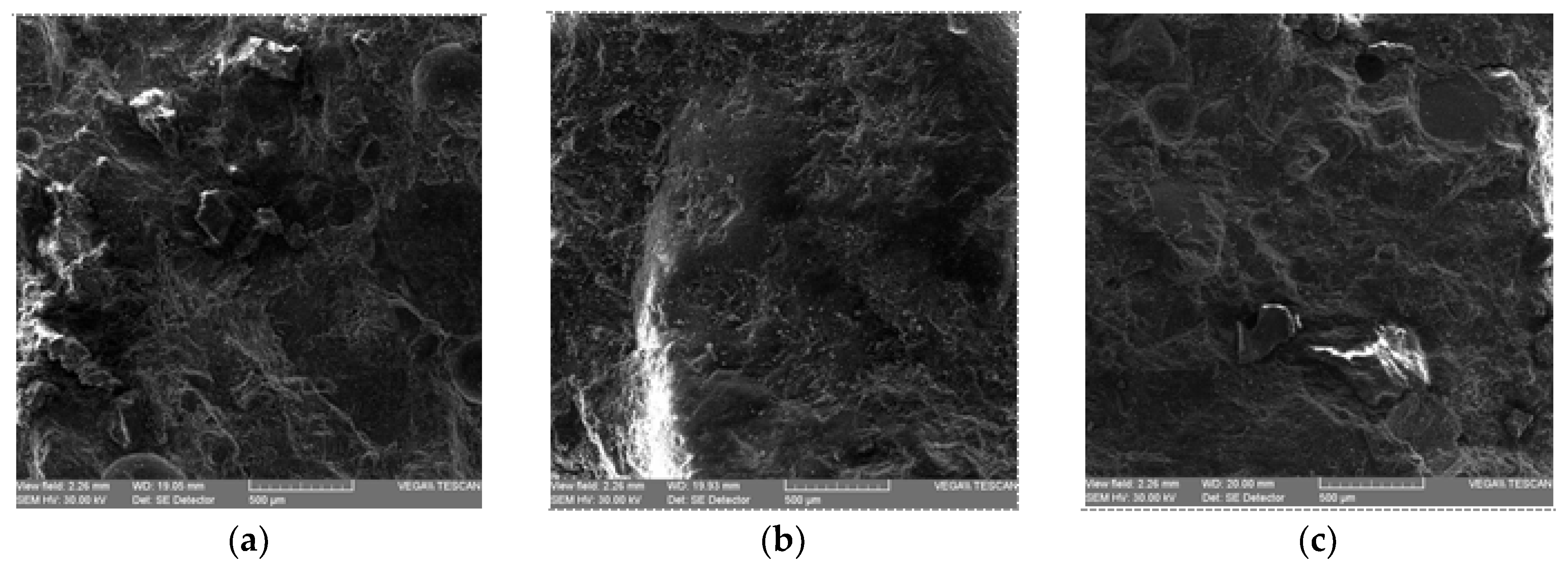 Preprints 82784 g003