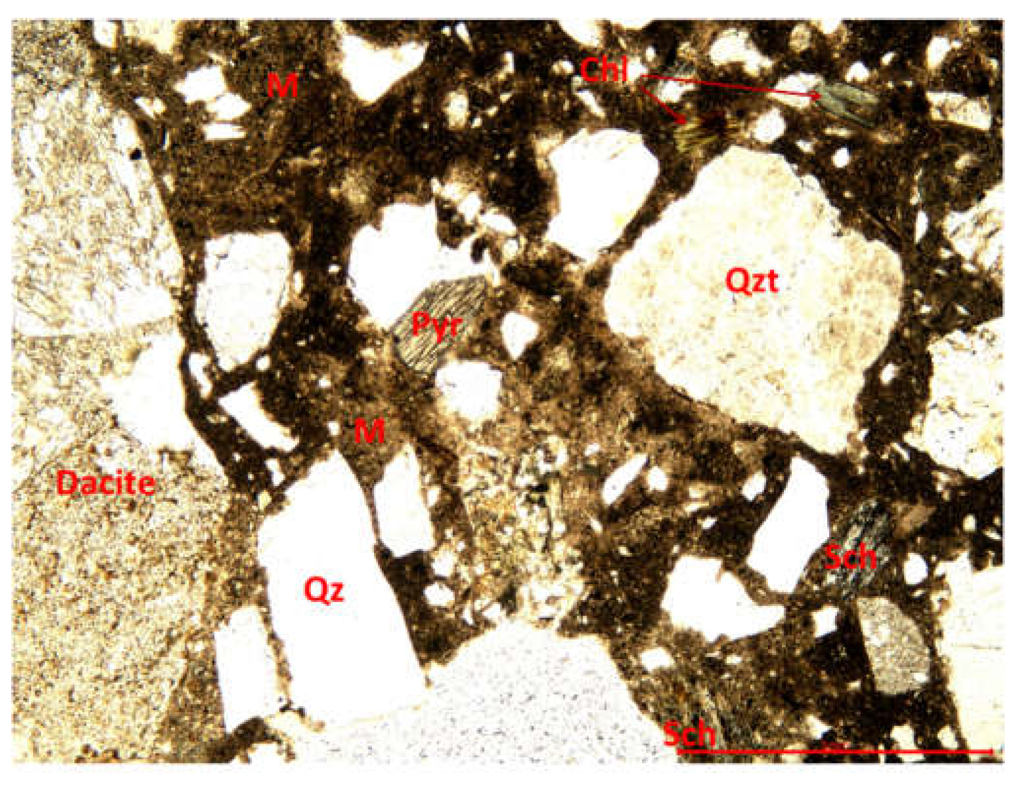 Preprints 82784 g013